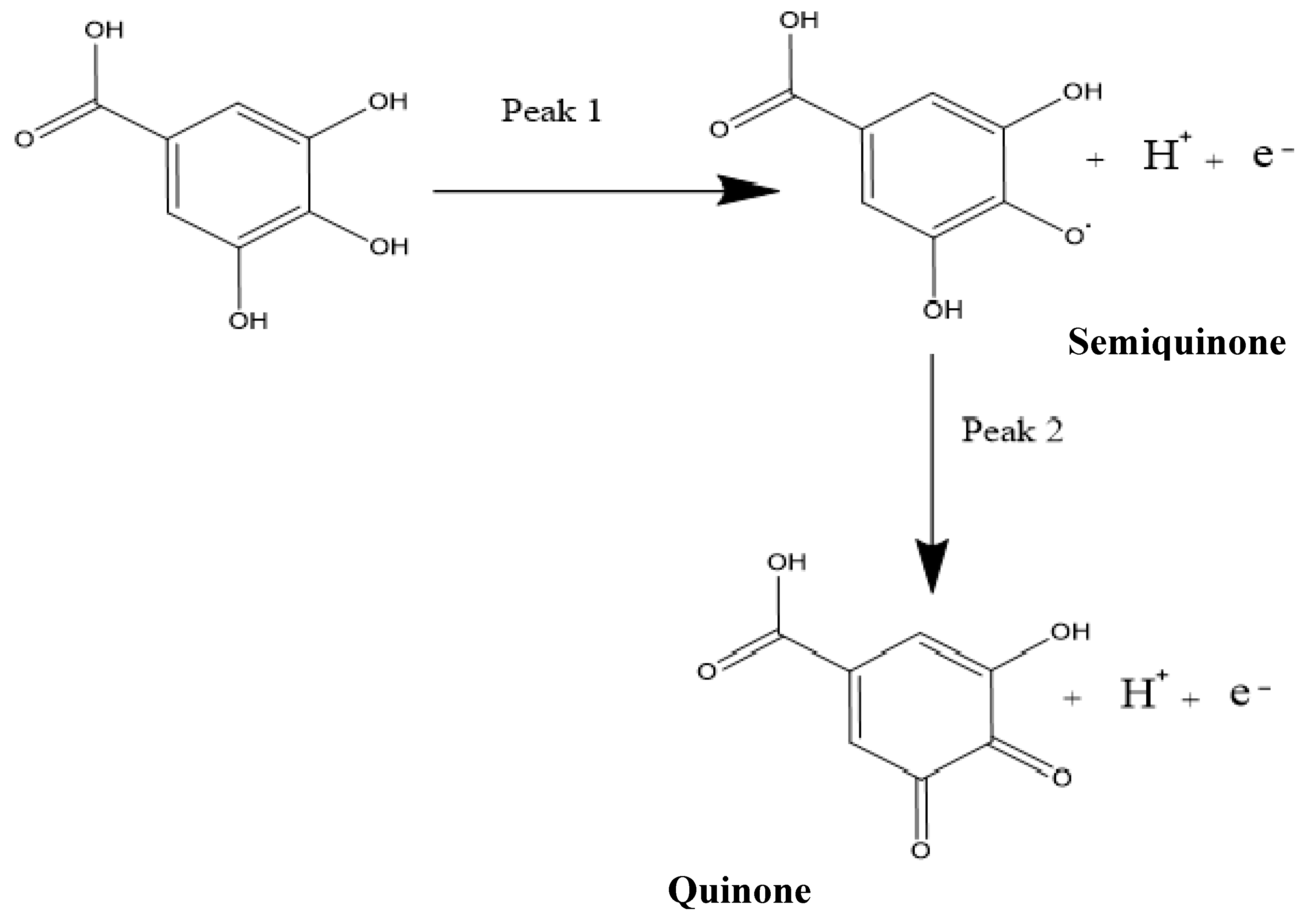 Nanomaterials 10 00537 g006 Nanomaterials 10 00537 g006