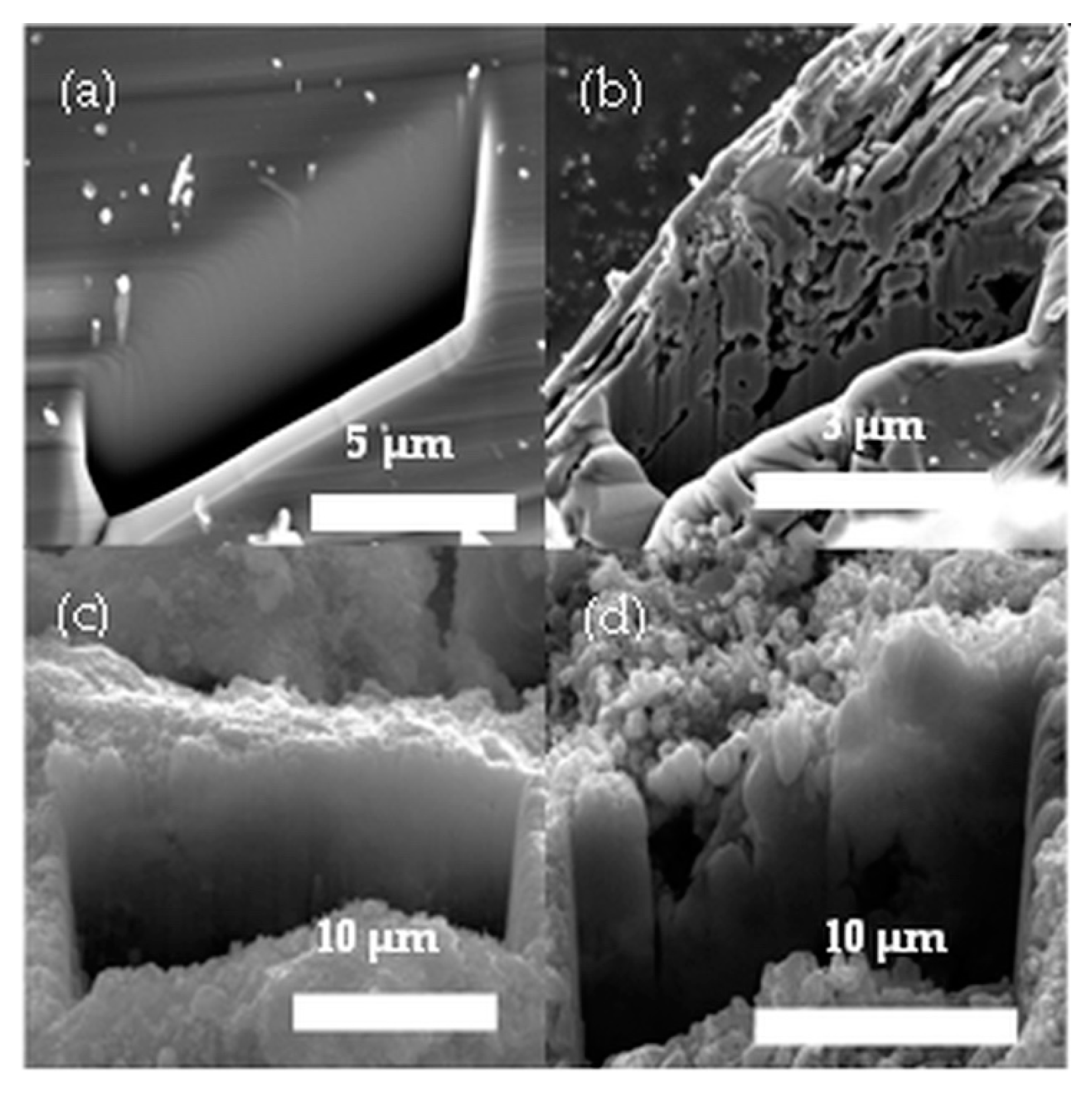 Nanomaterials 10 00538 g002