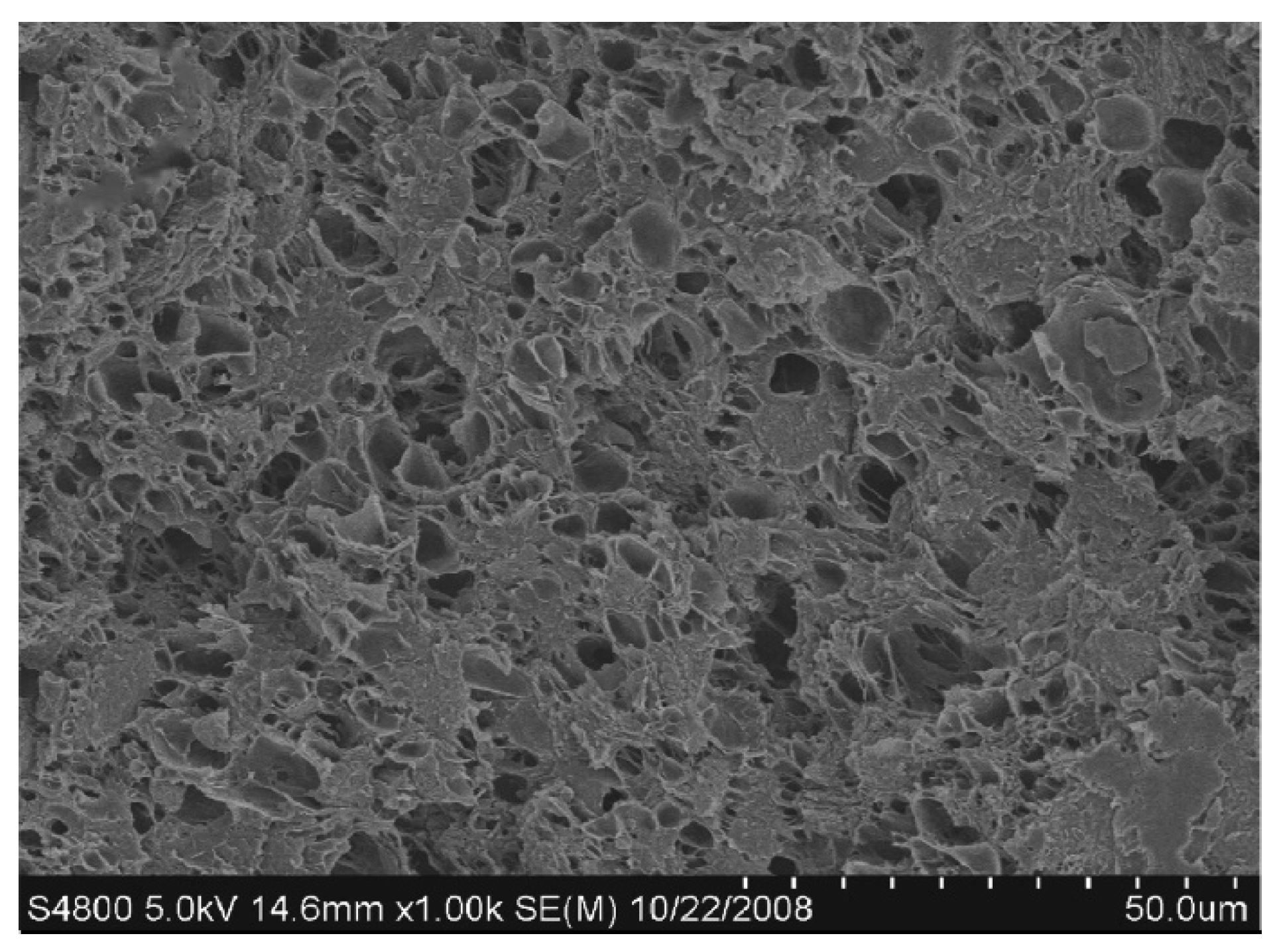 Nanomaterials 10 00541 g006