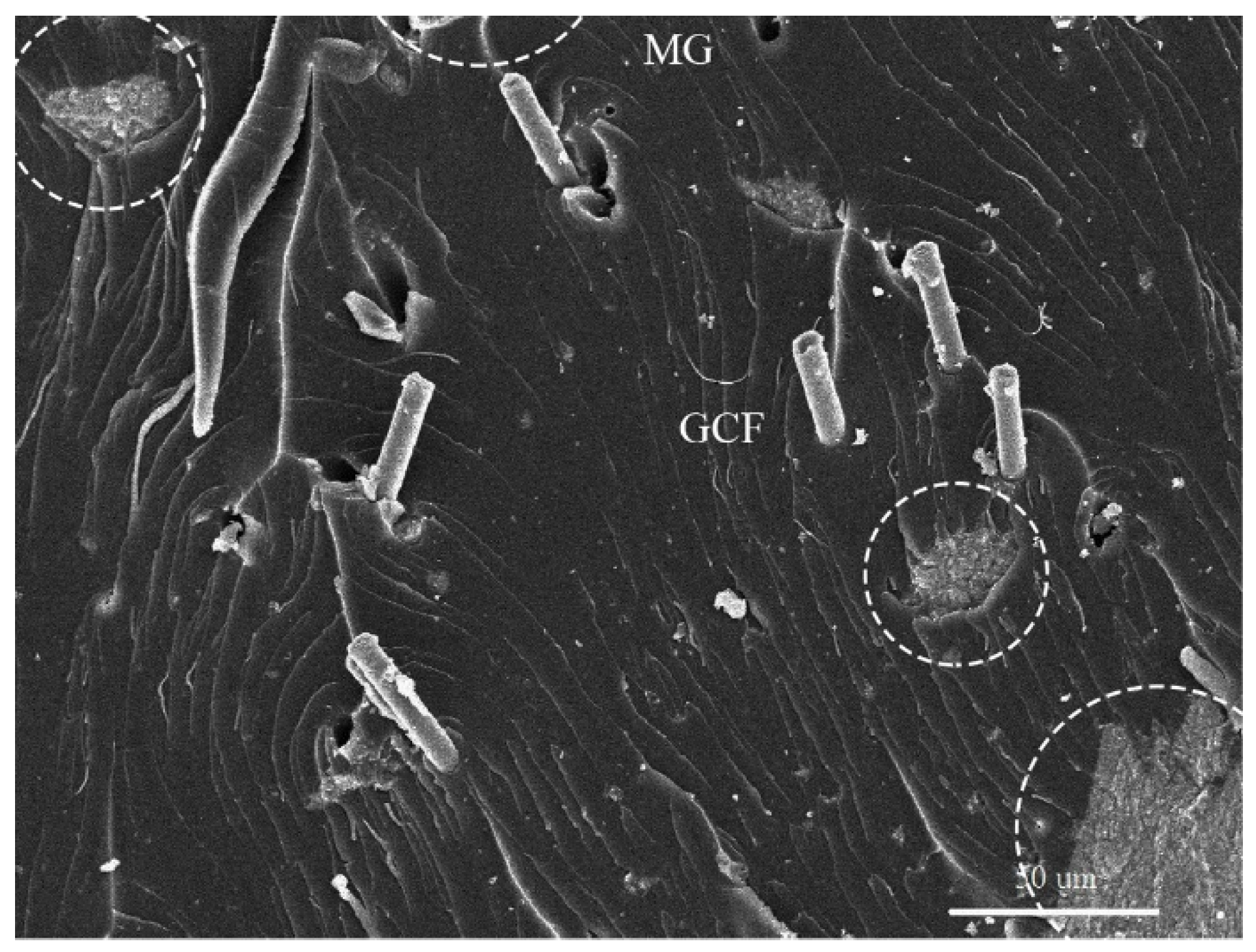 Nanomaterials 10 00541 g009