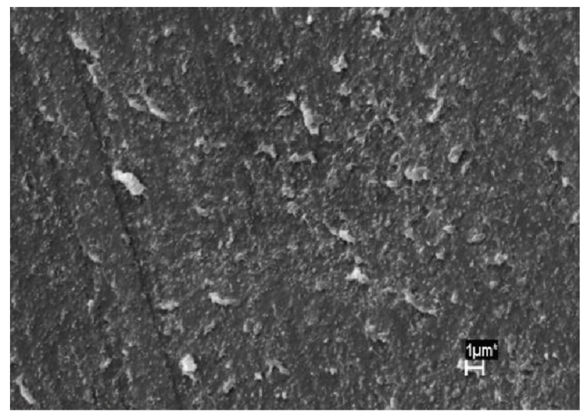 Nanomaterials 10 00541 g018