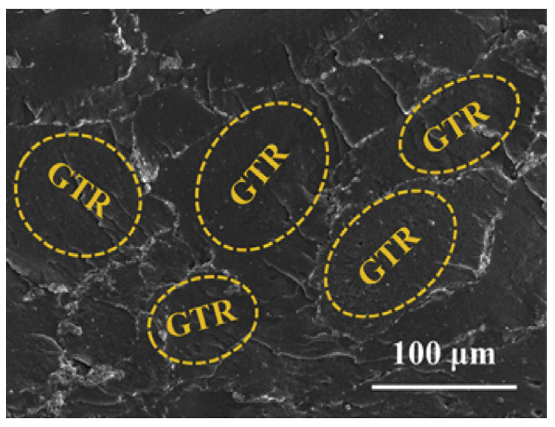 Nanomaterials 10 00541 g021