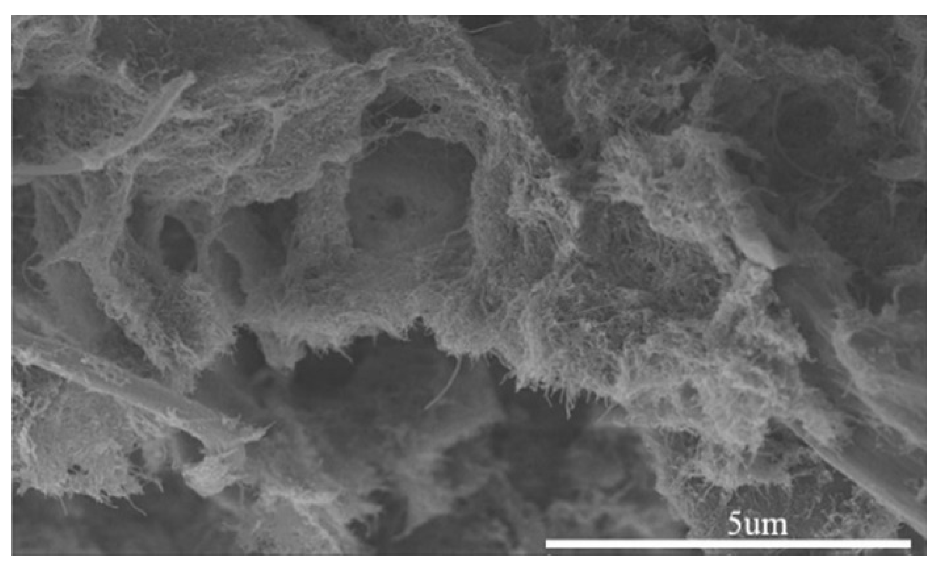 Nanomaterials 10 00541 g022