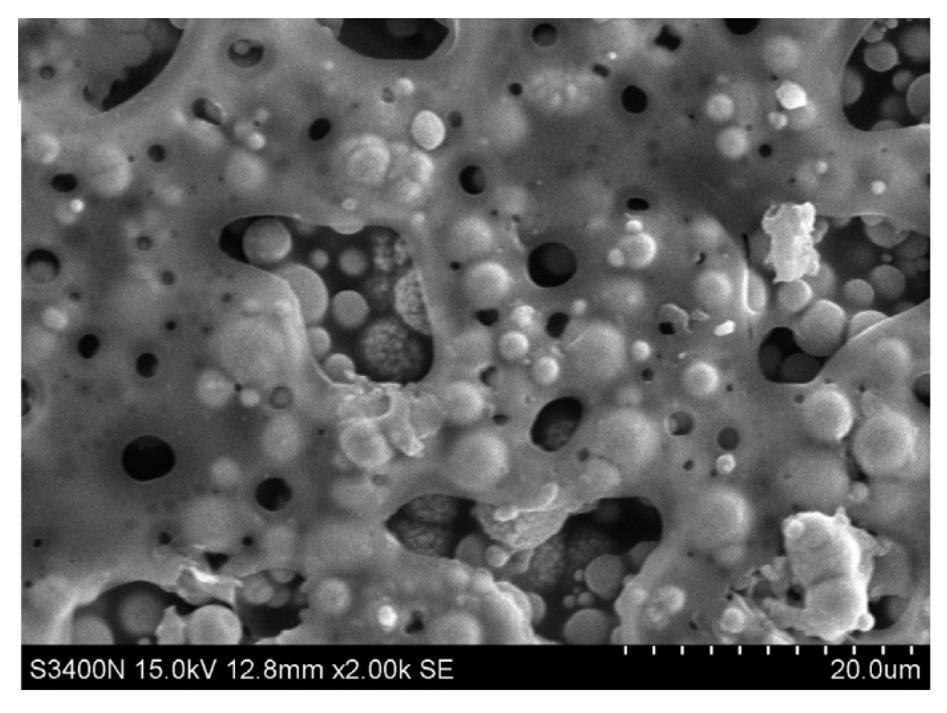 Nanomaterials 10 00541 g026