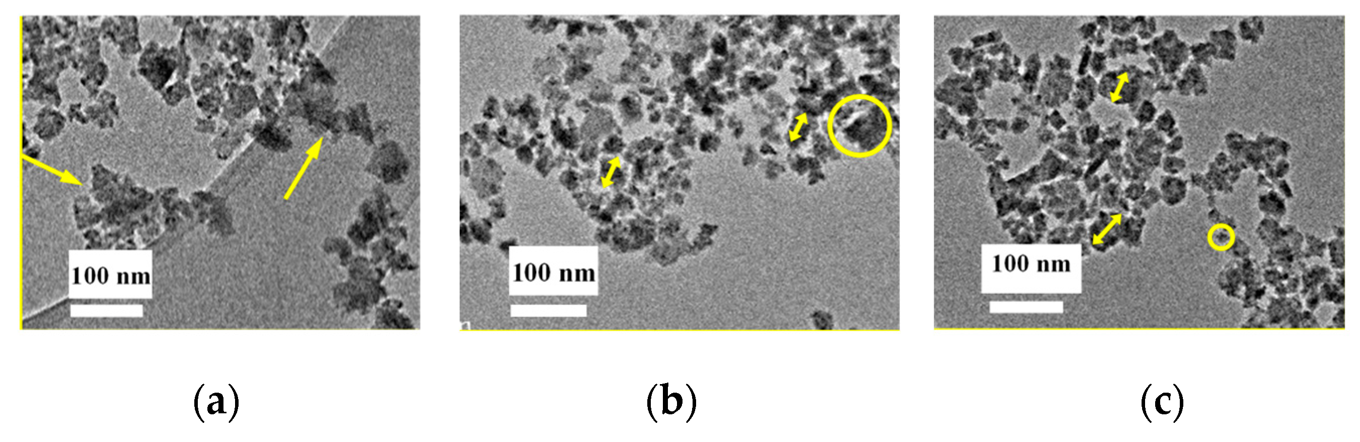Nanomaterials 10 00547 g005