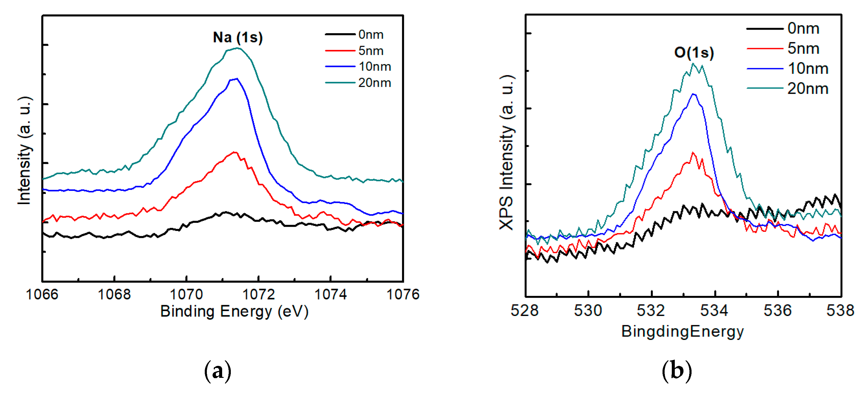 Nanomaterials 10 00547 g012