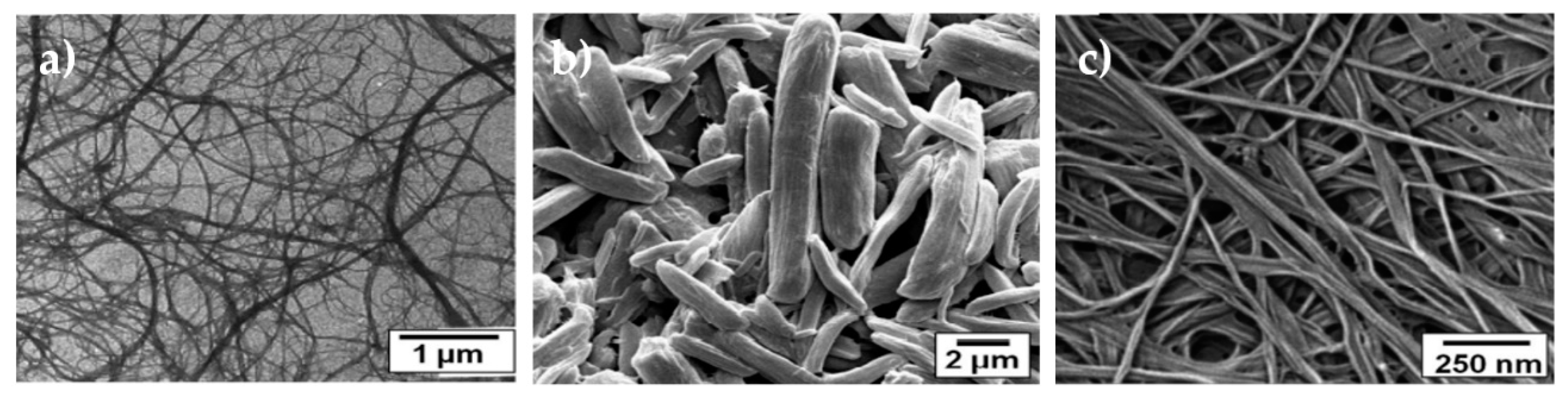 Nanomaterials 10 00557 g002