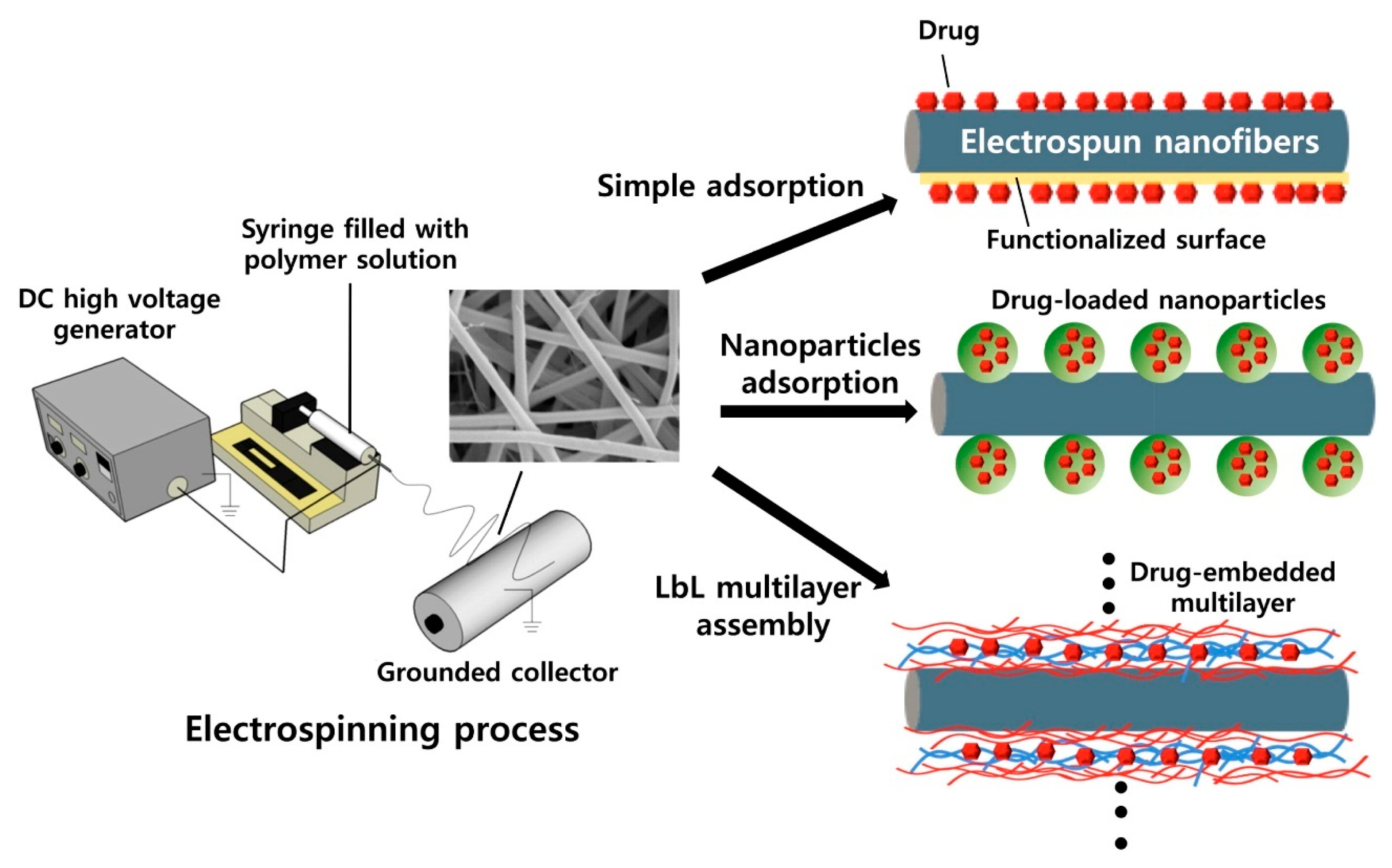 Nanomaterials 10 00557 g003