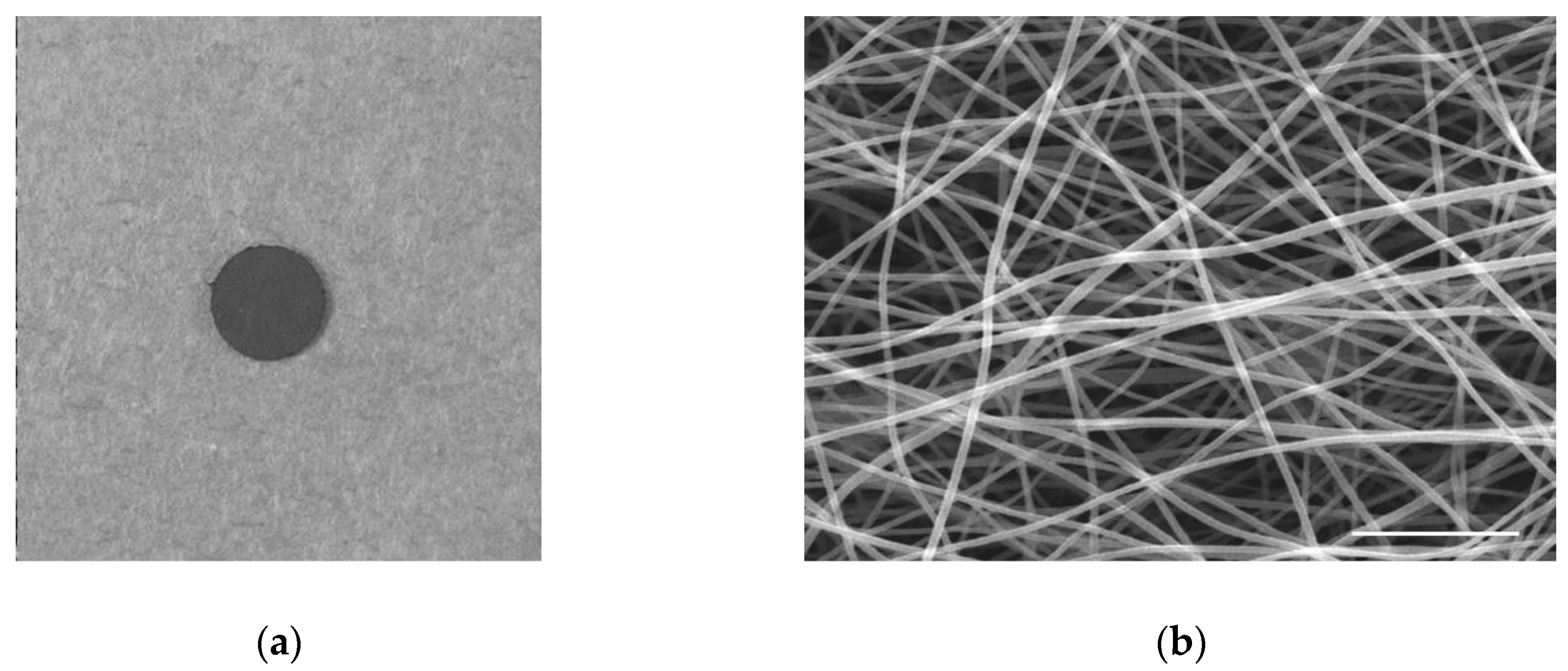 Nanomaterials 10 00562 g002