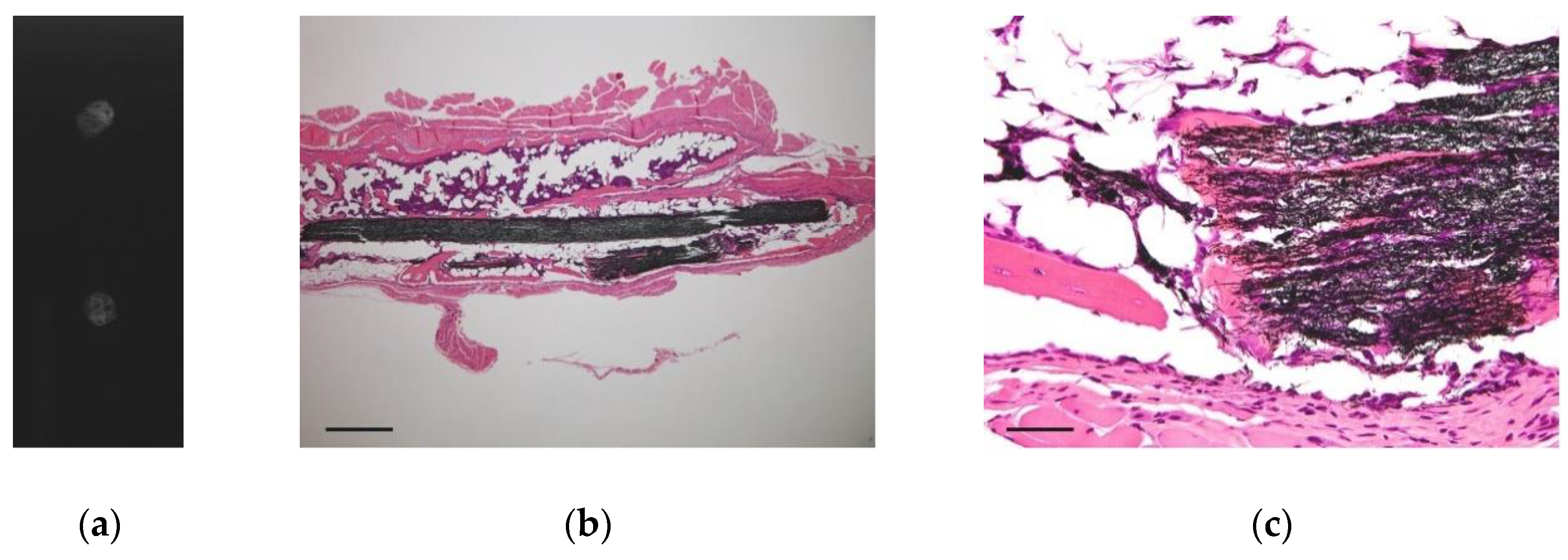Nanomaterials 10 00562 g004