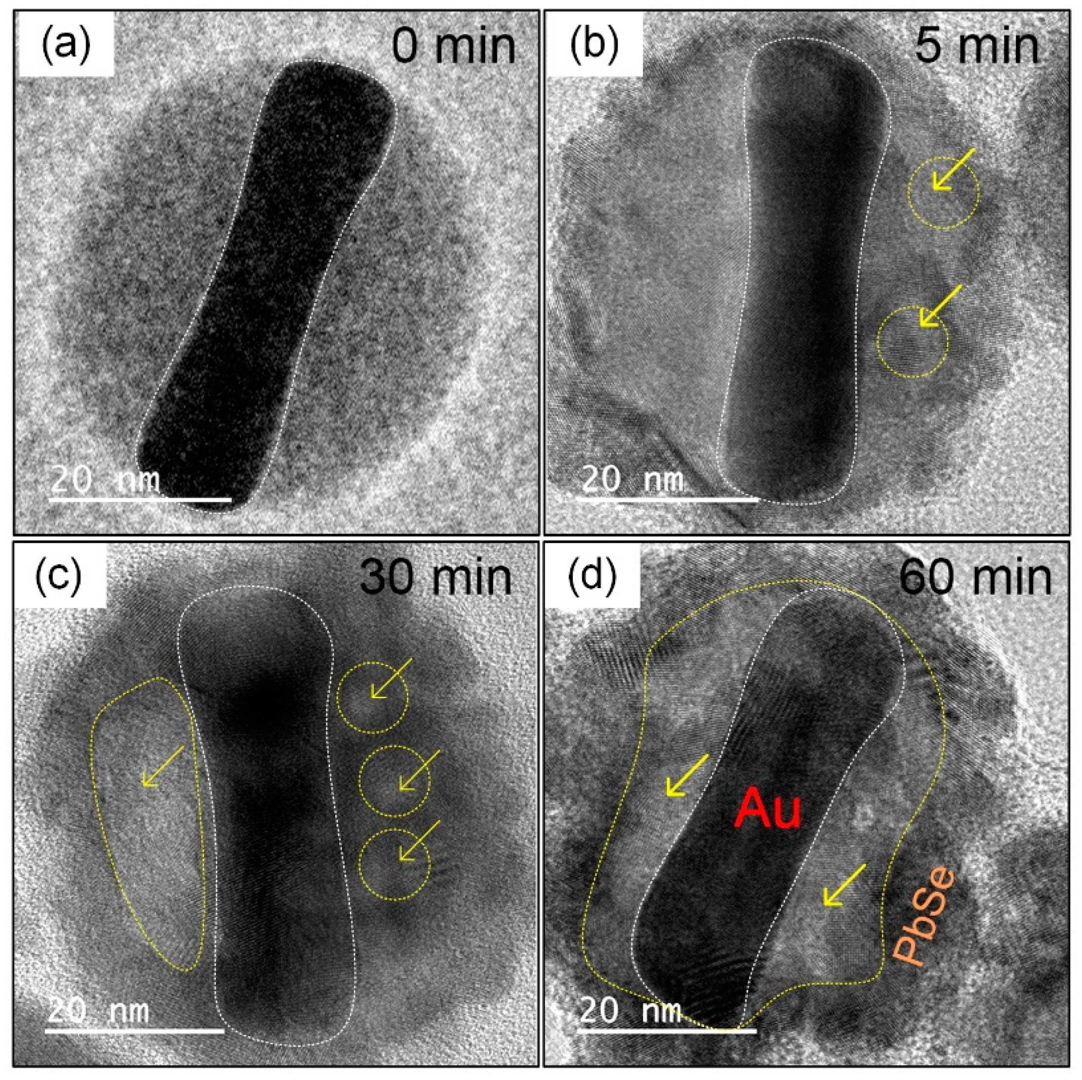 Nanomaterials 10 00564 g003 Nanomaterials 10 00564 g003