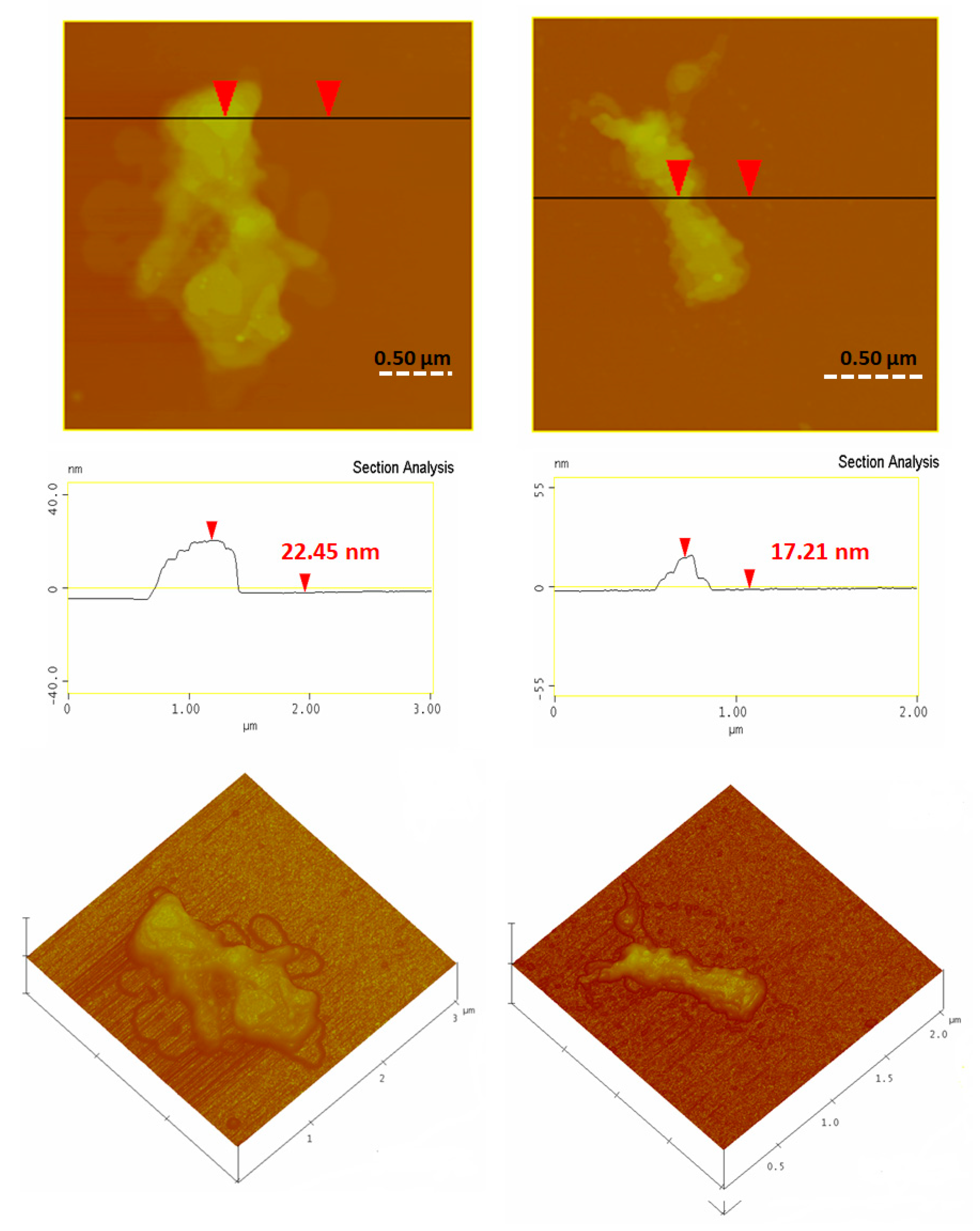 Nanomaterials 10 00566 g009 Nanomaterials 10 00566 g009