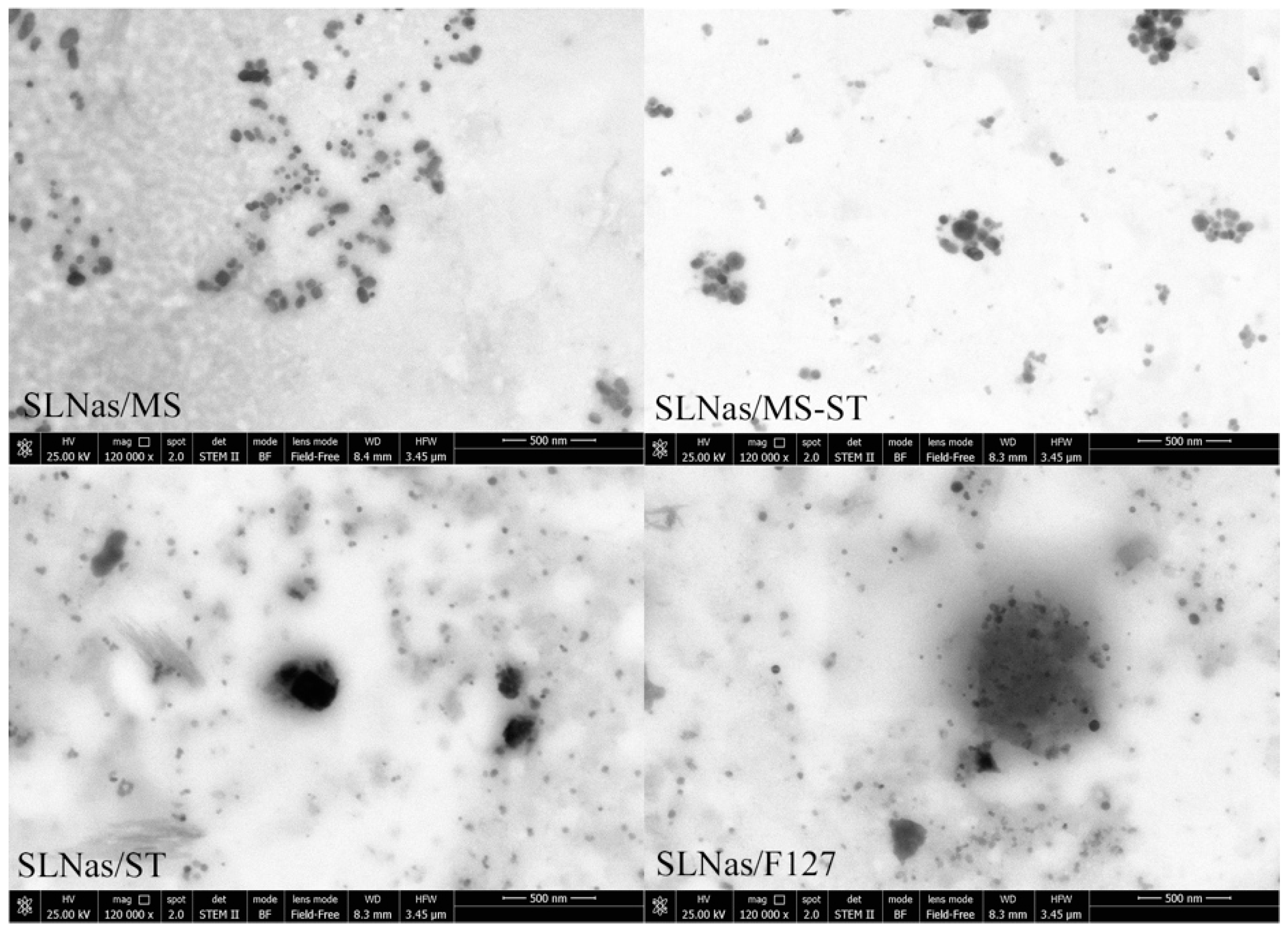 Nanomaterials 10 00568 g001