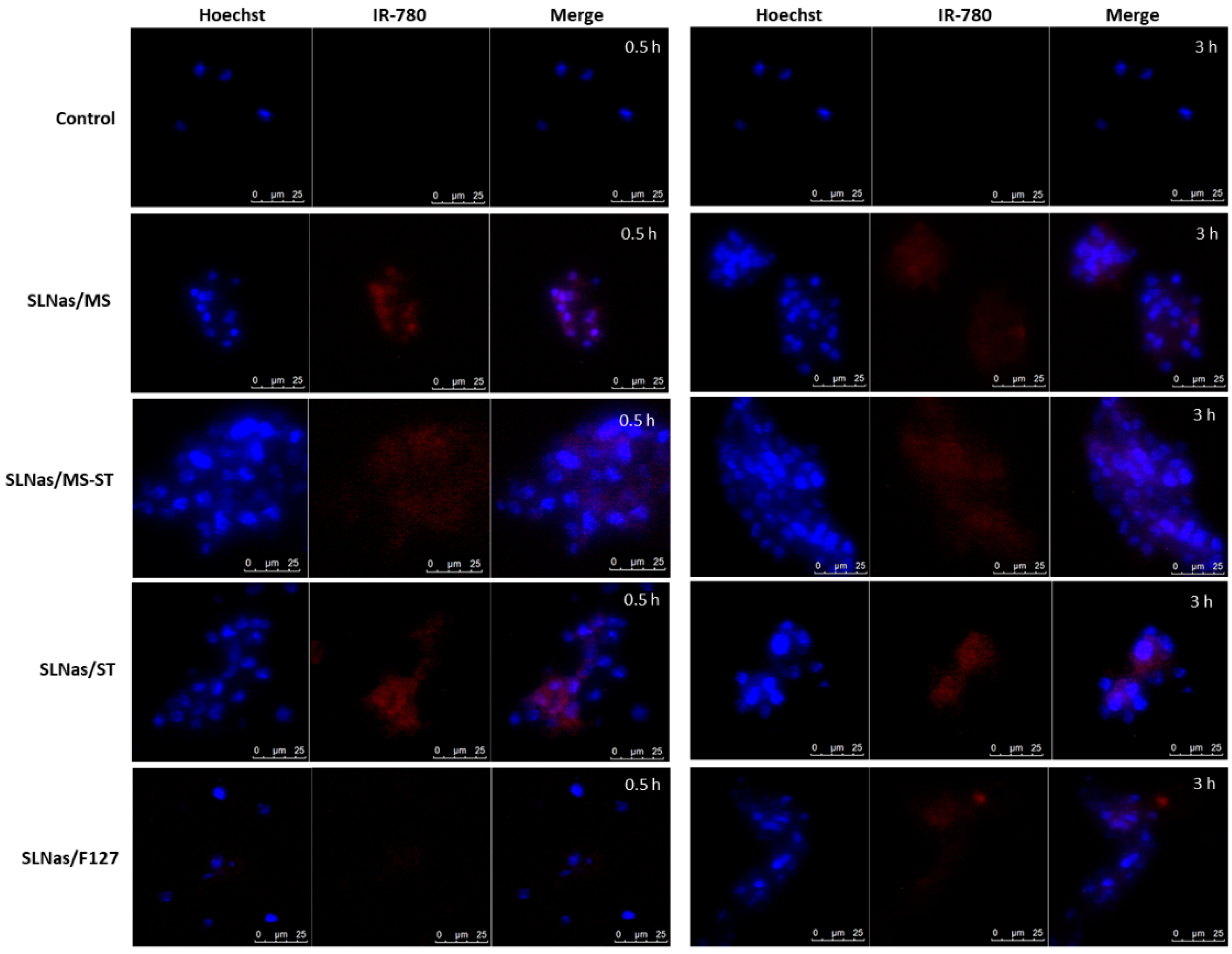 Nanomaterials 10 00568 g004