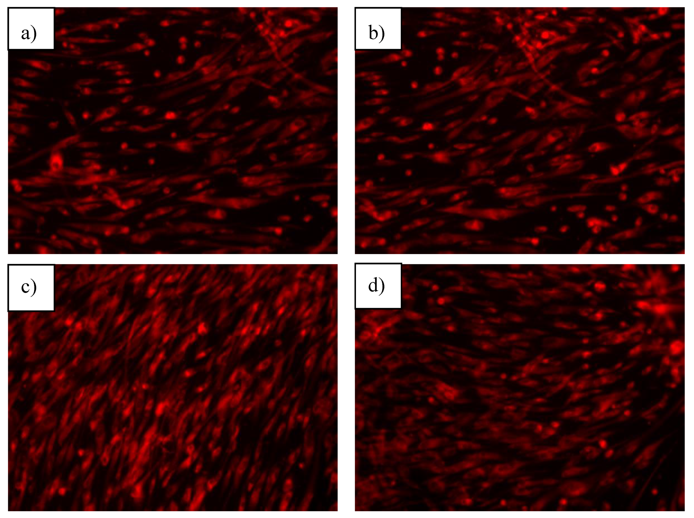 Nanomaterials 10 00570 g012a