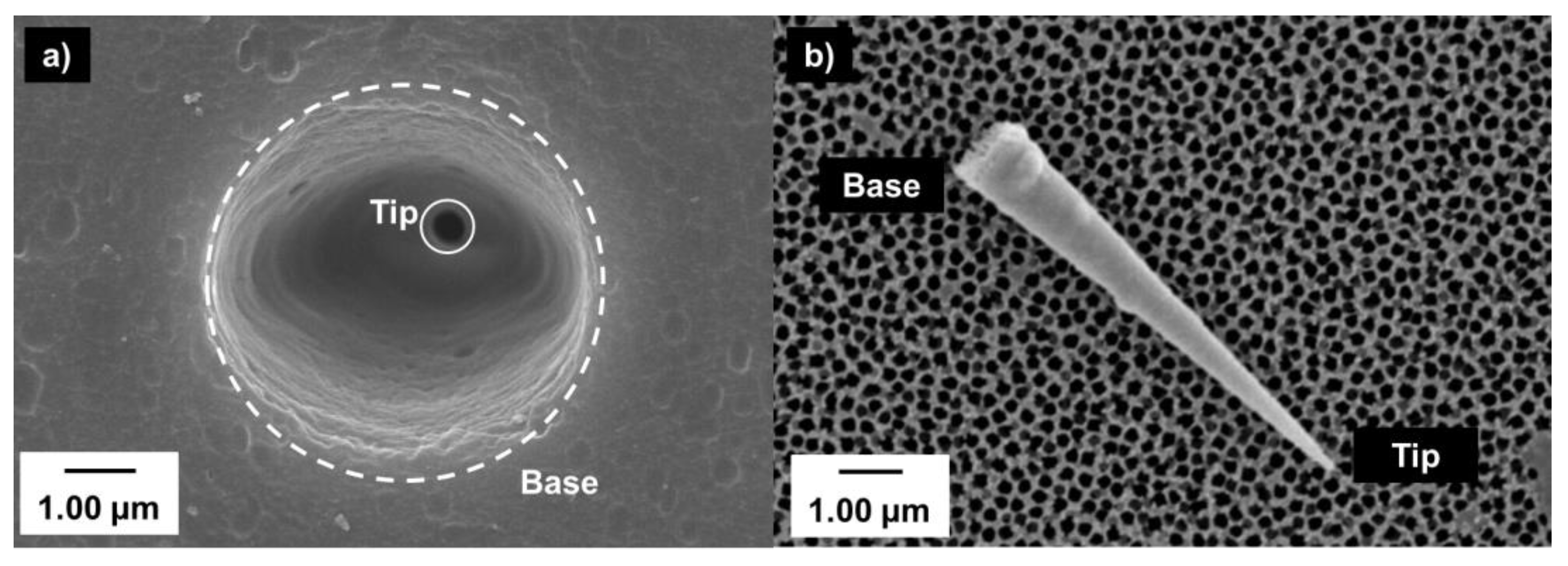 Nanomaterials 10 00571 g002