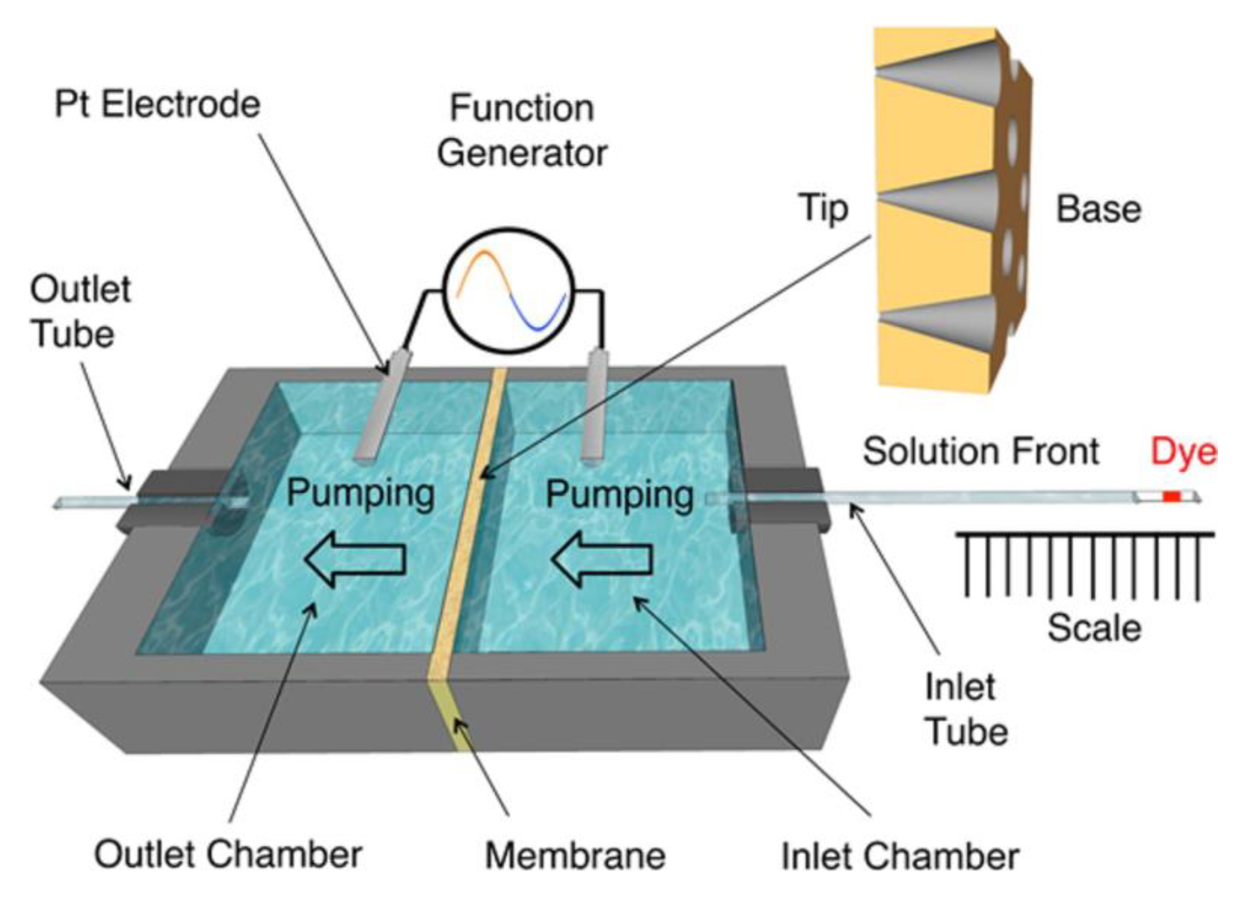 Nanomaterials 10 00571 g007