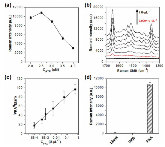 Phosphorylation-Dependent SERS Readout for Activity Assay of