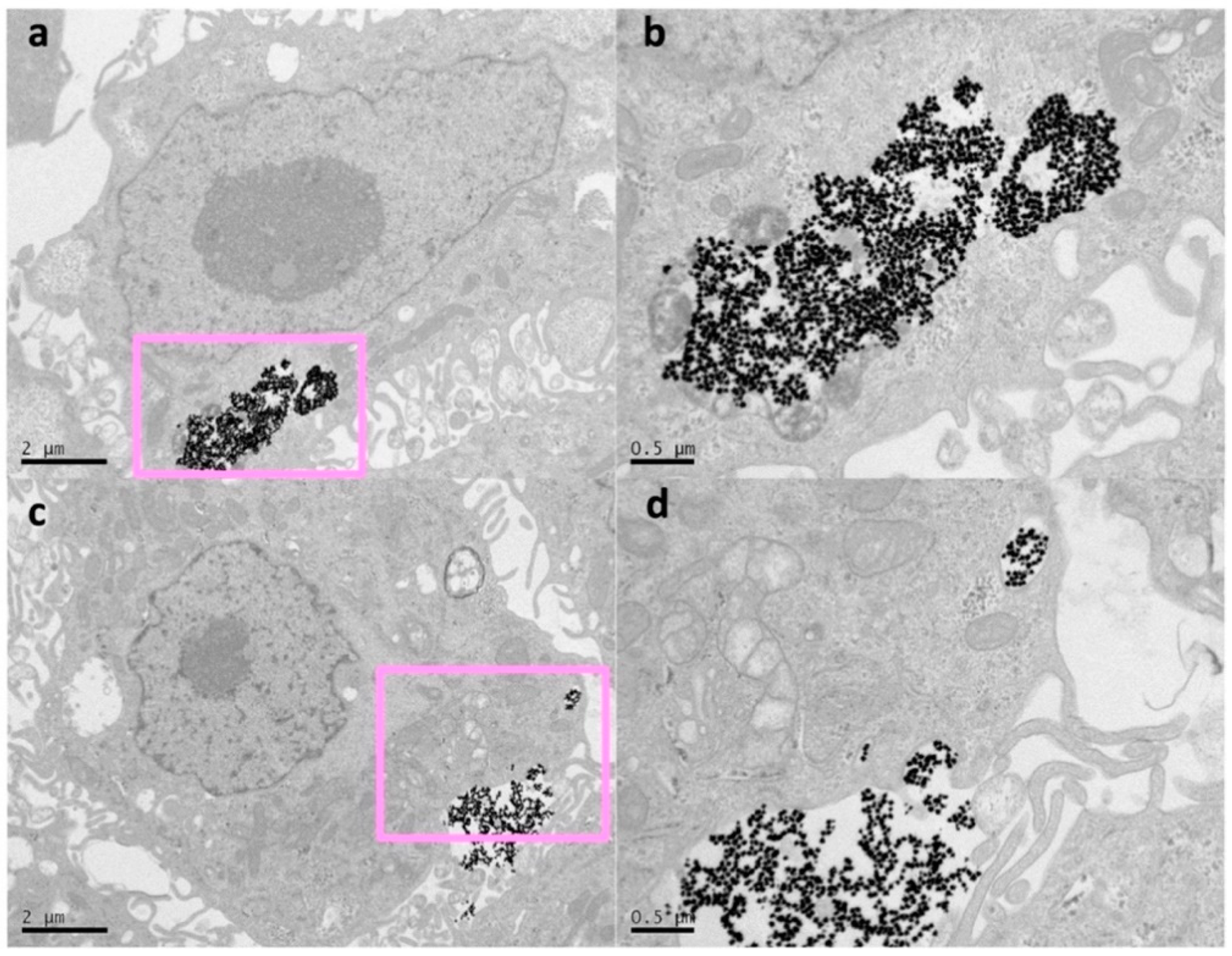 Nanomaterials 10 00590 g003 Nanomaterials 10 00590 g003