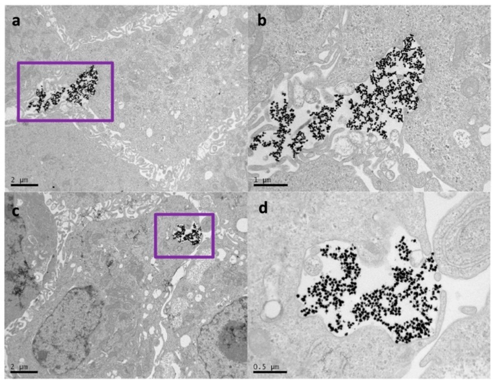 Nanomaterials 10 00590 g006 Nanomaterials 10 00590 g006