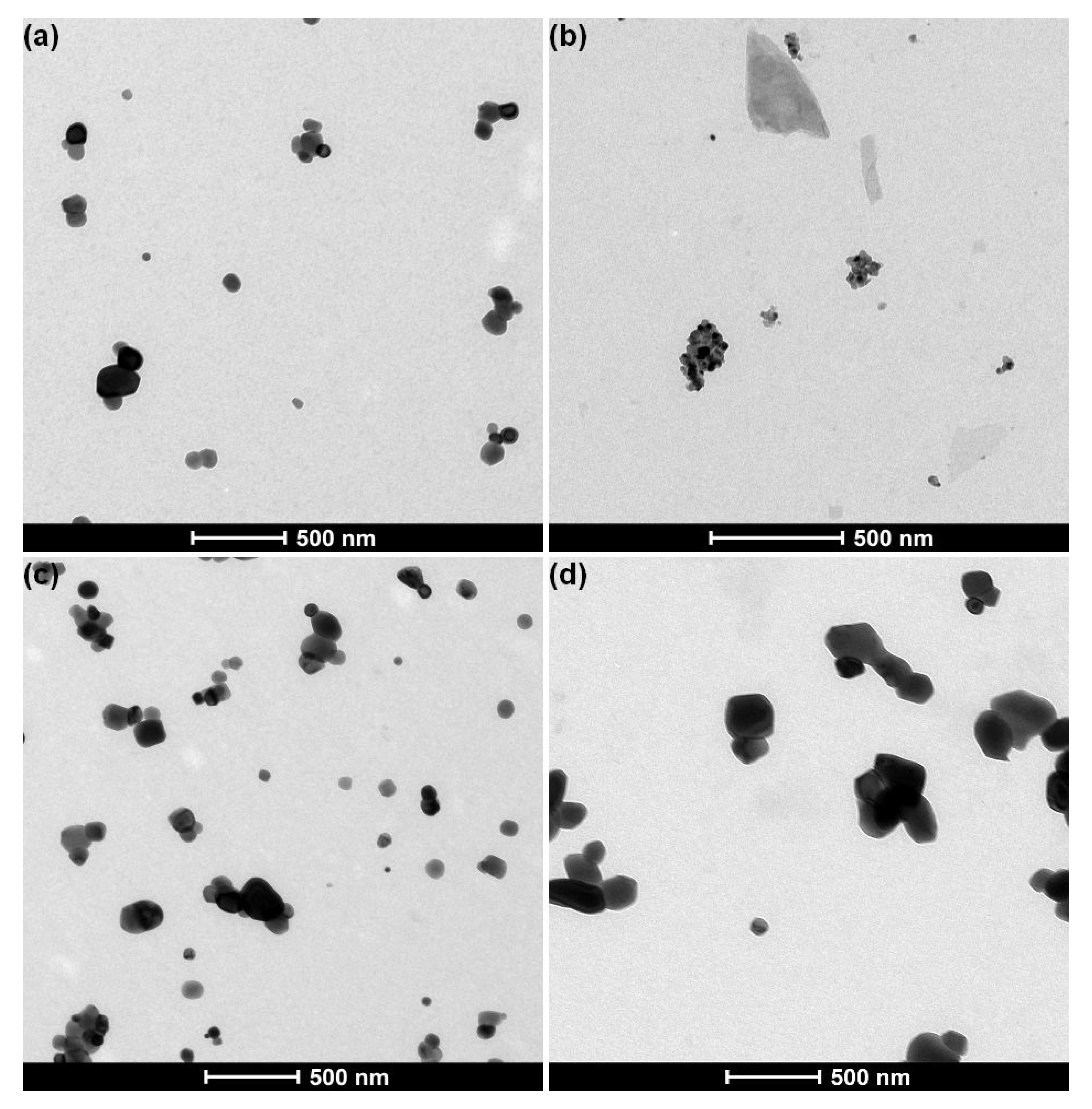 Nanomaterials 10 00592 g002