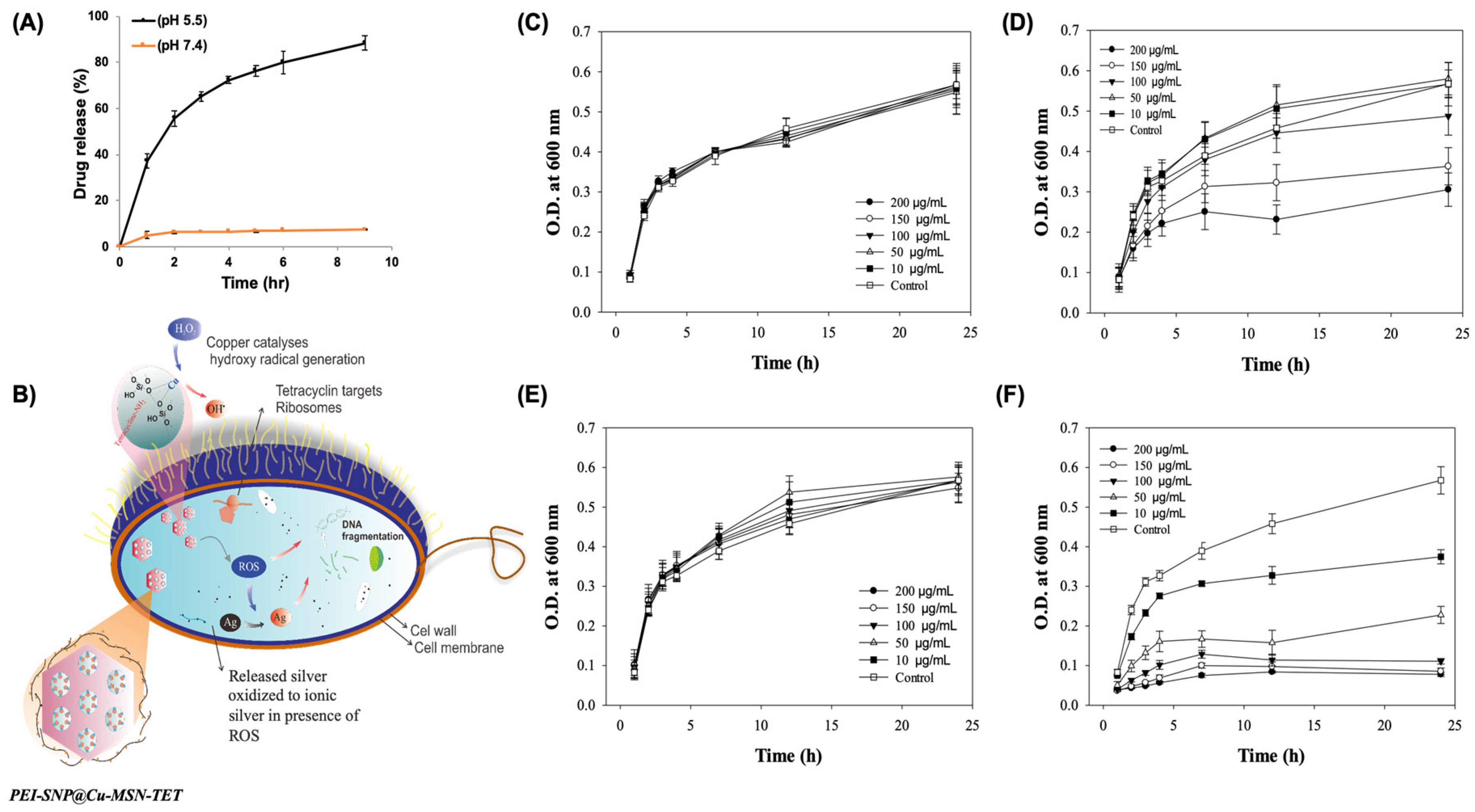 Nanomaterials 10 00597 g004 Nanomaterials 10 00597 g004