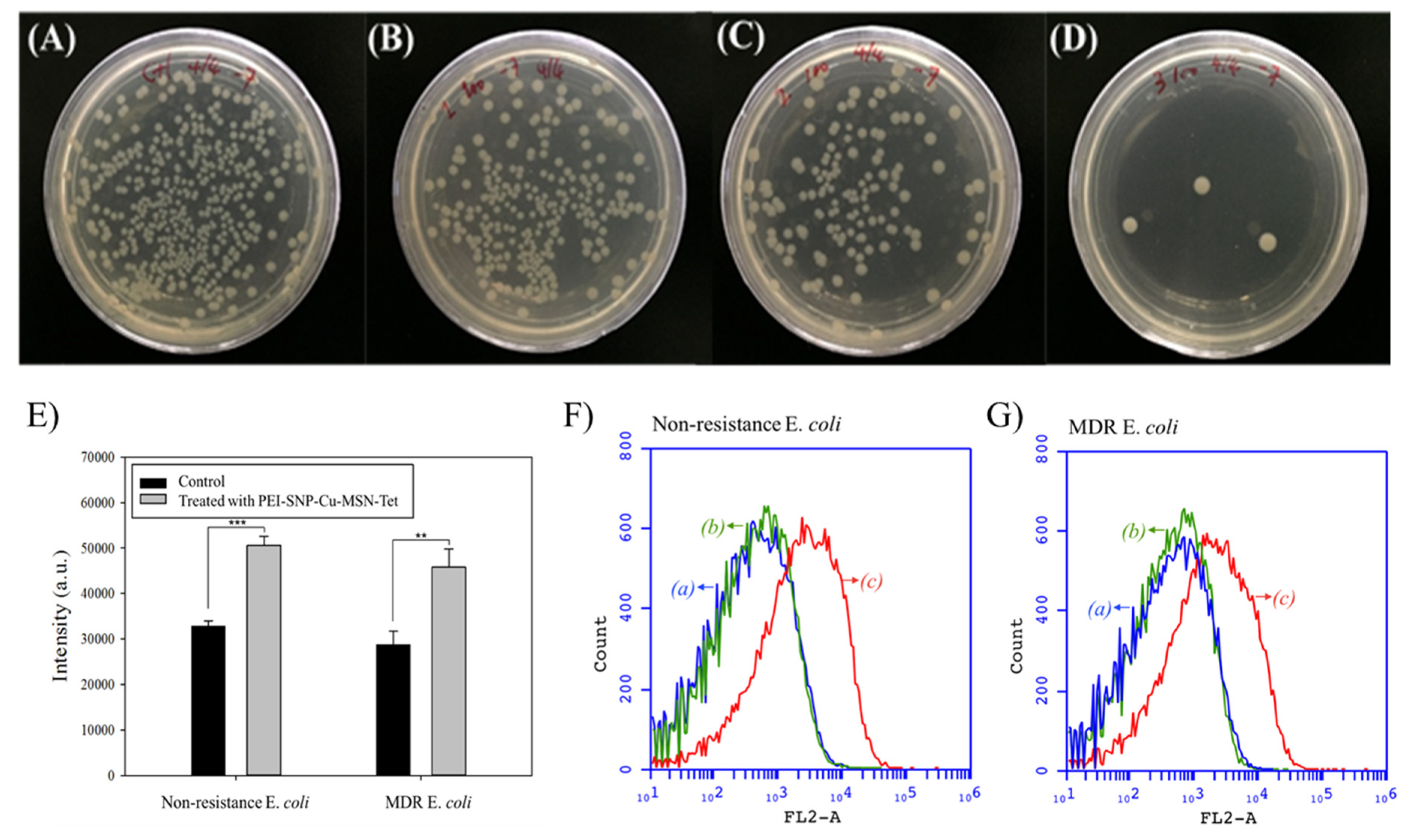 Nanomaterials 10 00597 g005 Nanomaterials 10 00597 g005