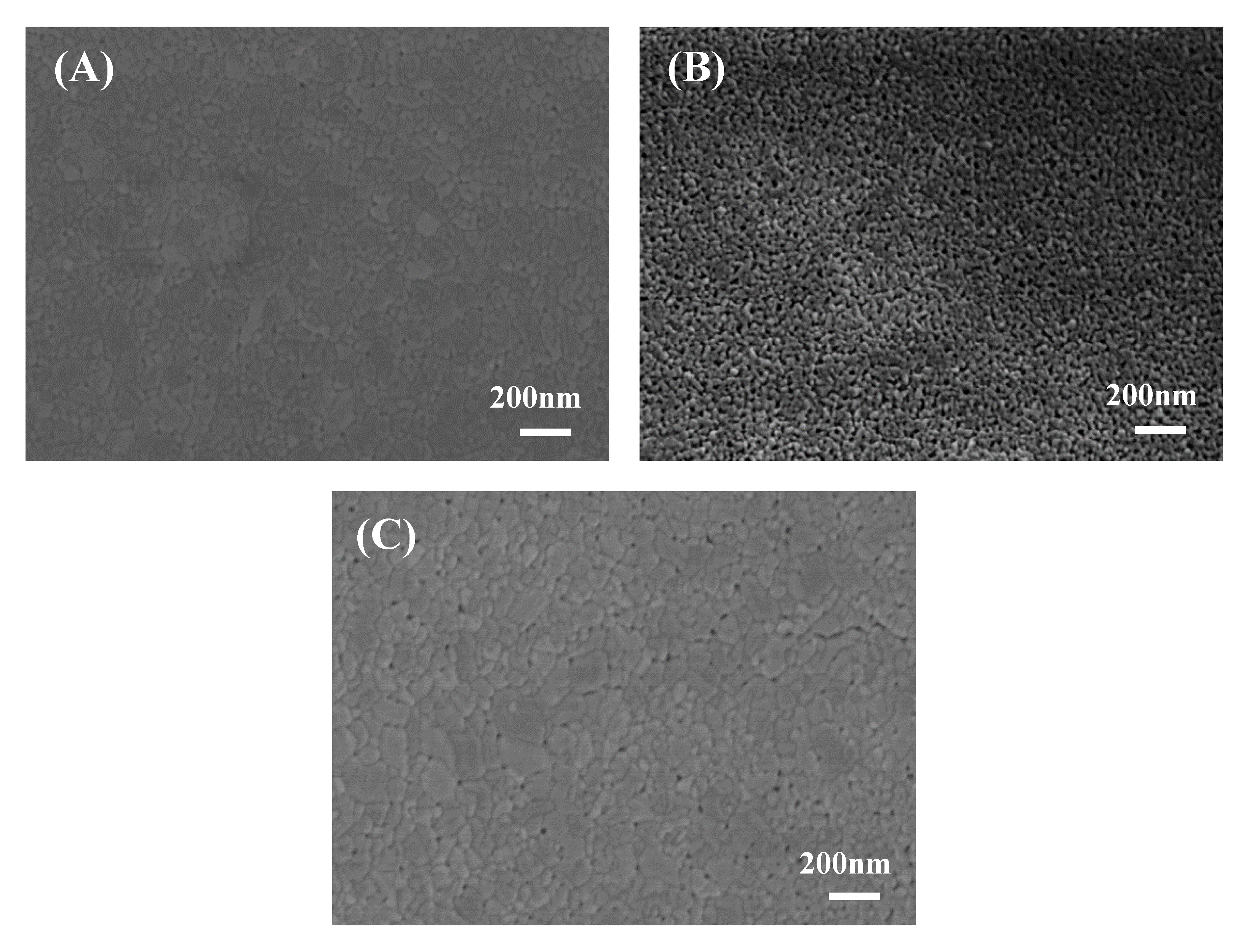 Nanomaterials 10 00600 g003