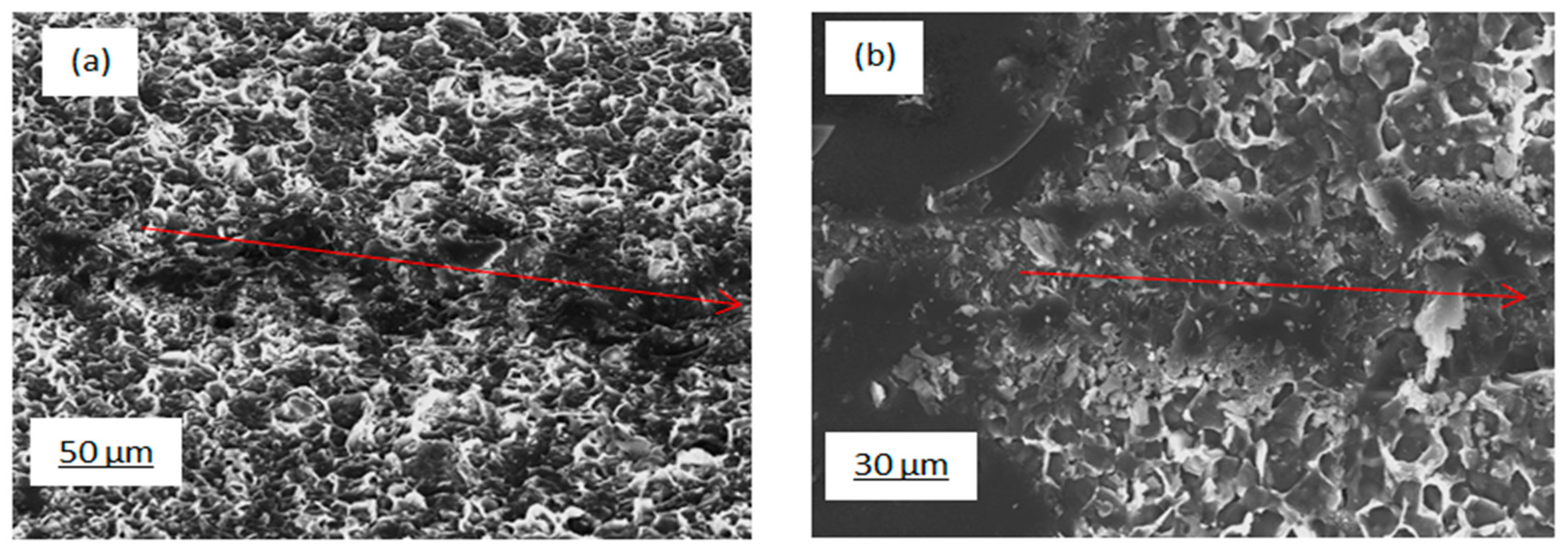Nanomaterials 10 00601 g009 Nanomaterials 10 00601 g009