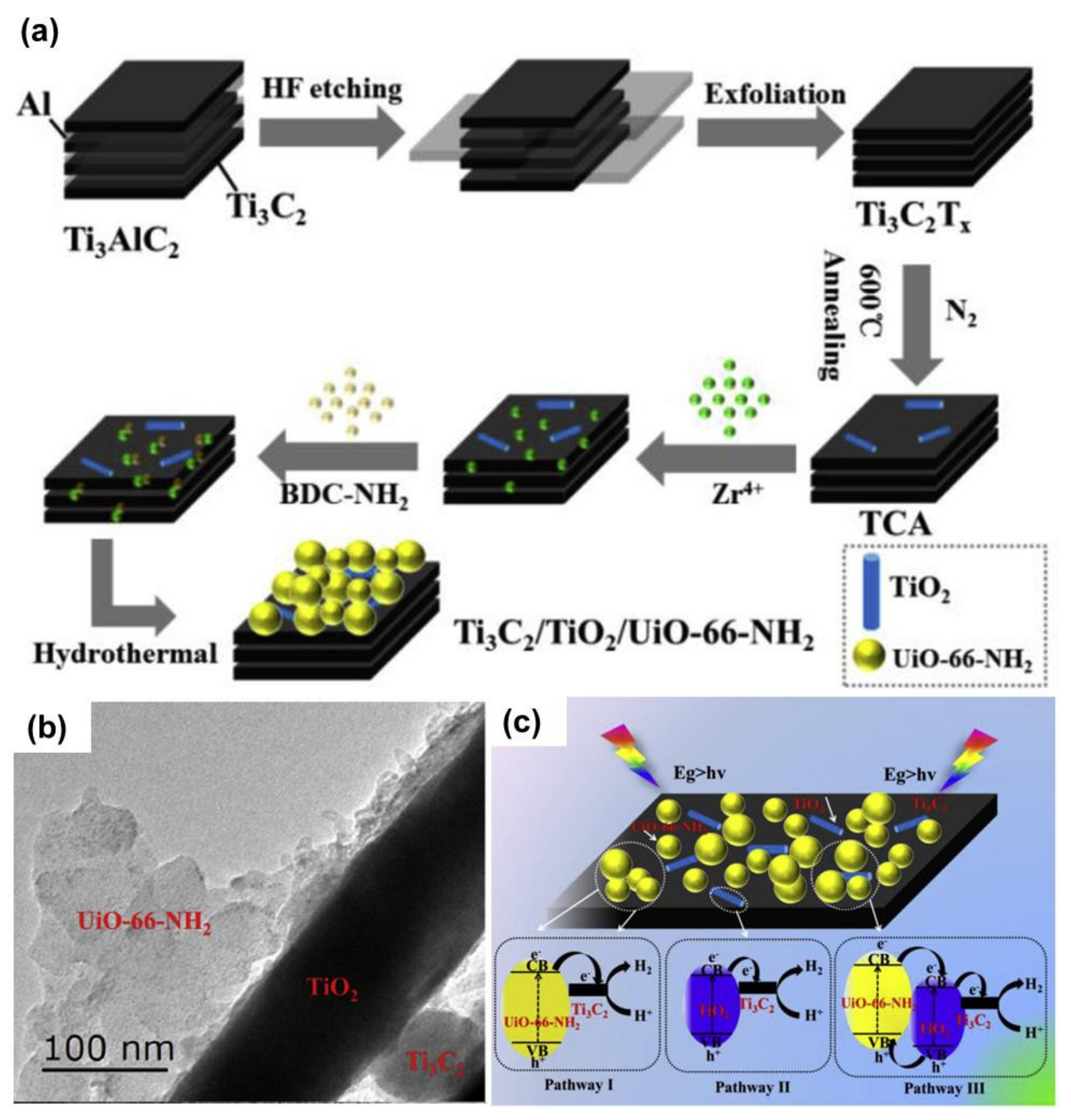 Nanomaterials 10 00602 g009 Nanomaterials 10 00602 g009