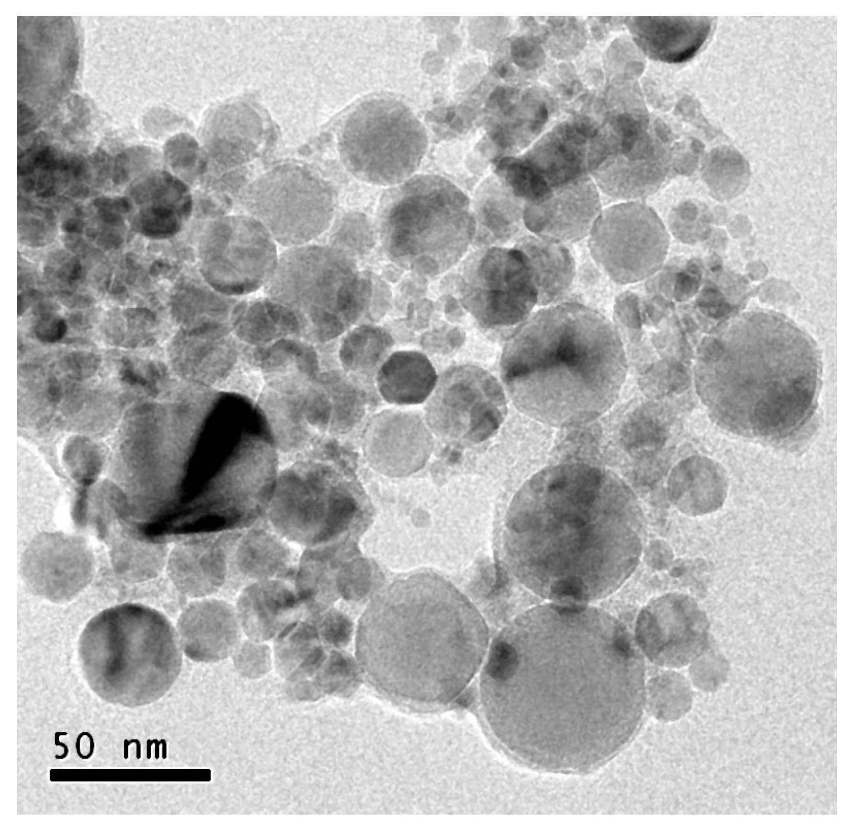 Nanomaterials 10 00603 g001