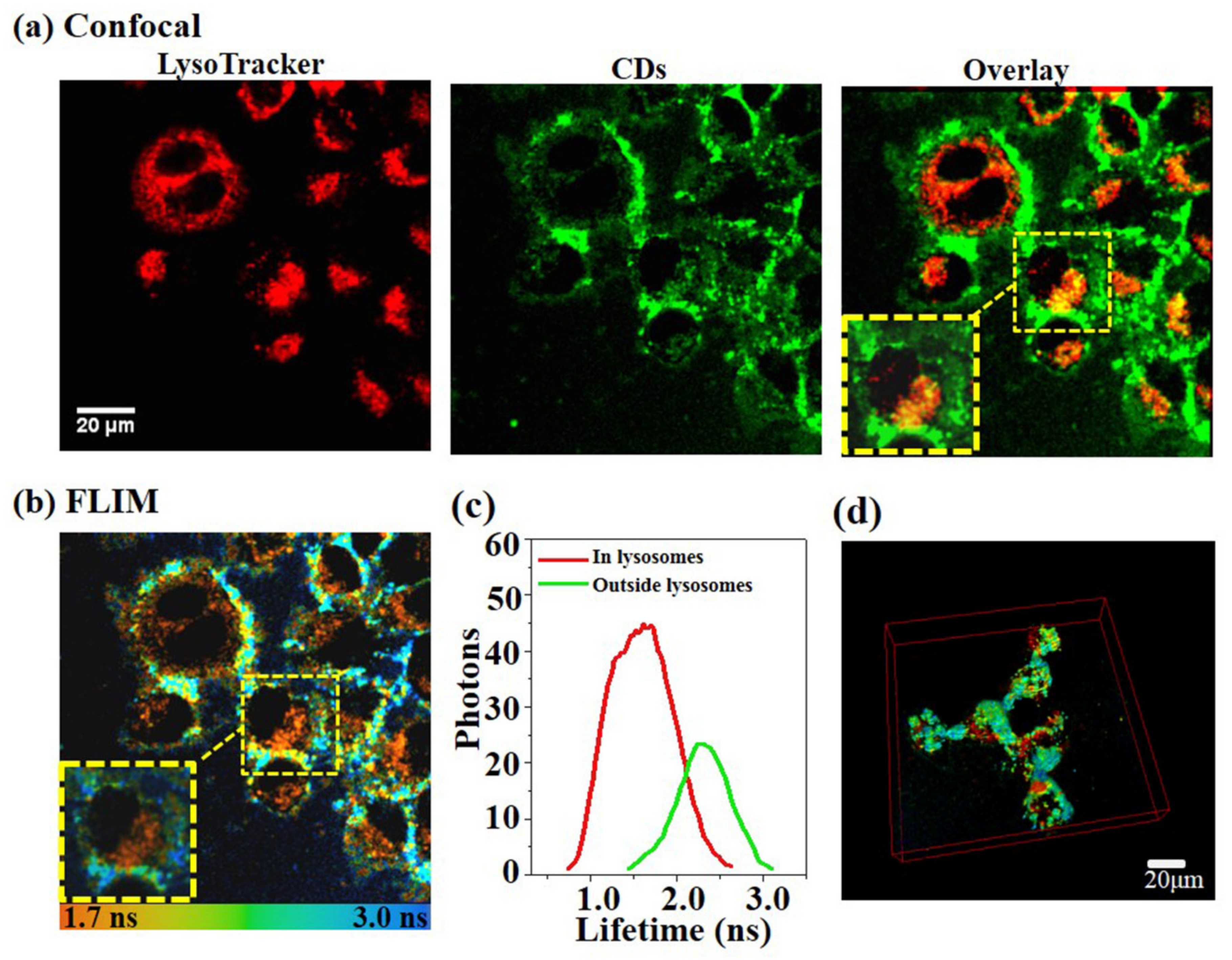 Nanomaterials 10 00604 g003 Nanomaterials 10 00604 g003
