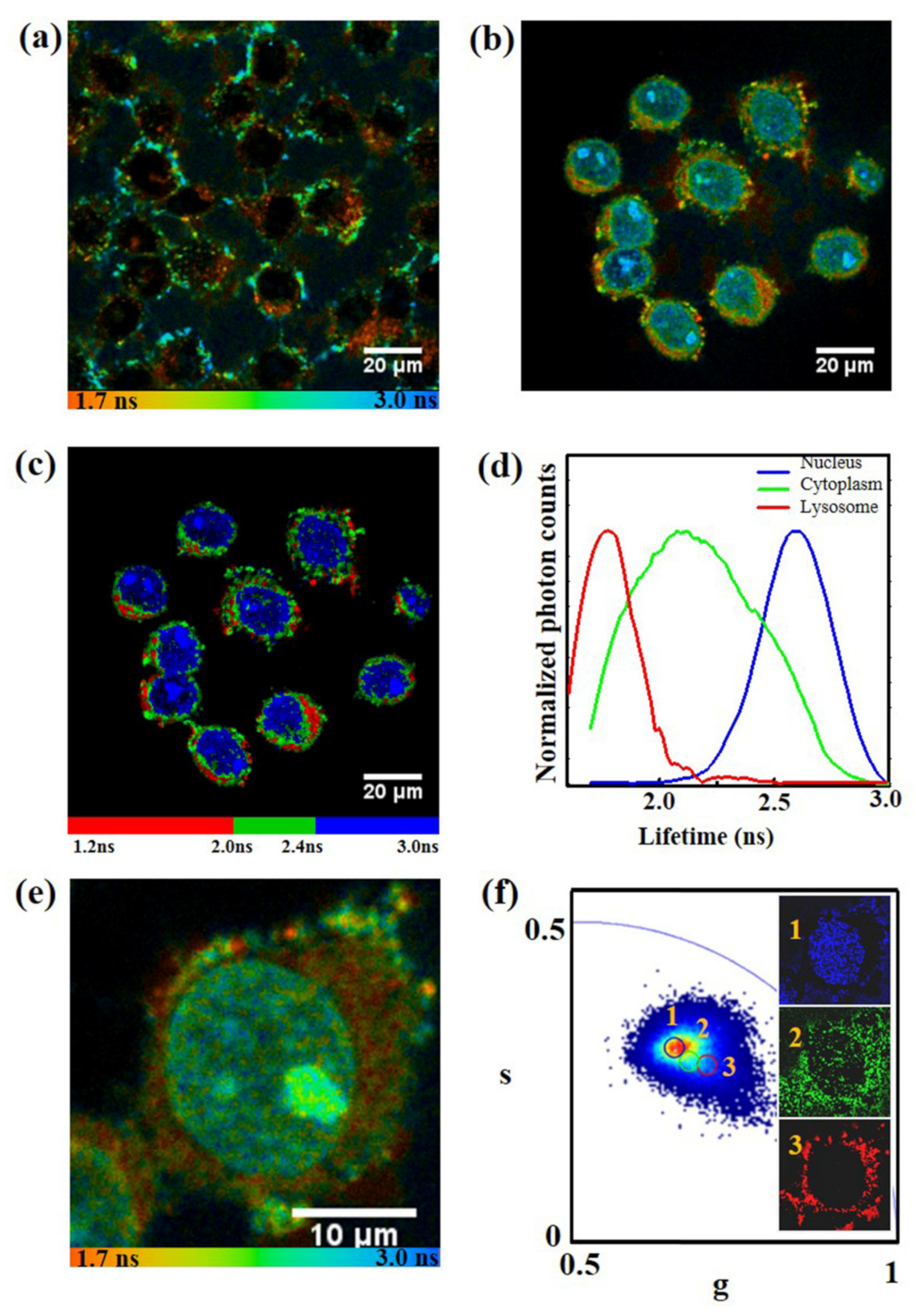Nanomaterials 10 00604 g004 Nanomaterials 10 00604 g004