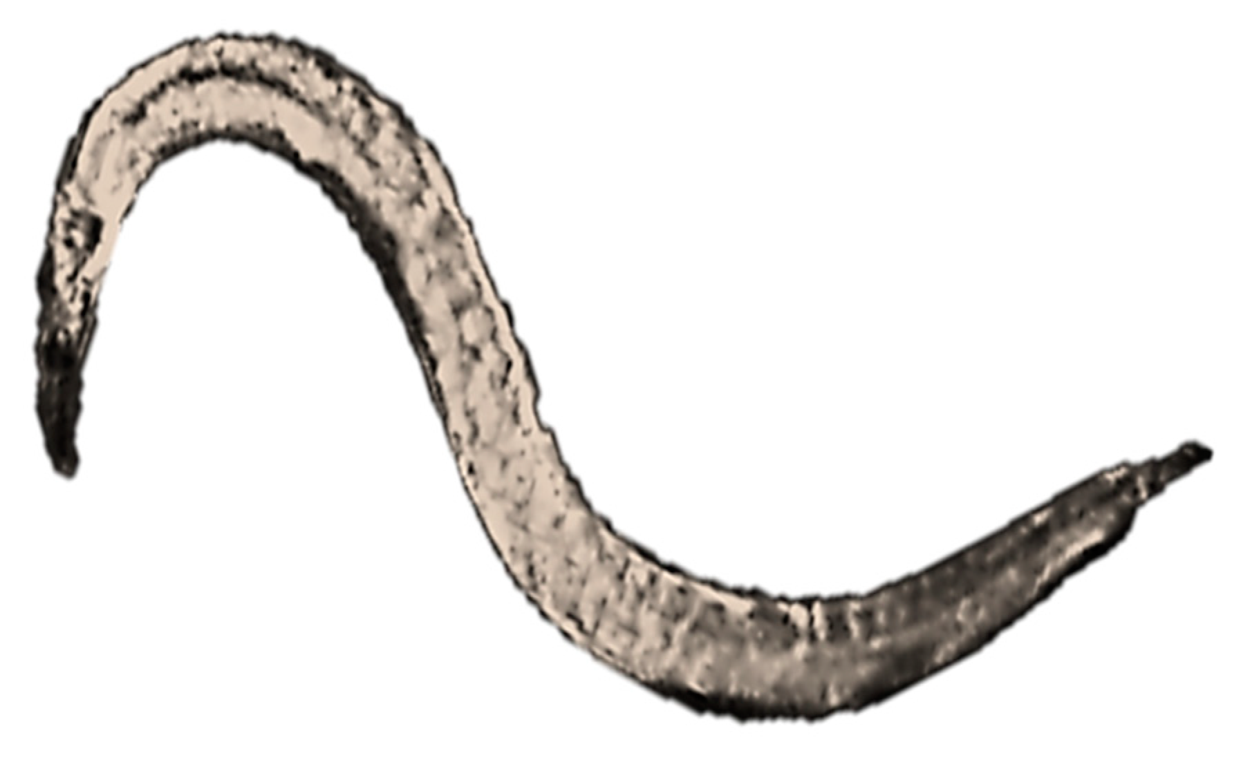 Nanomaterials 10 00610 g014