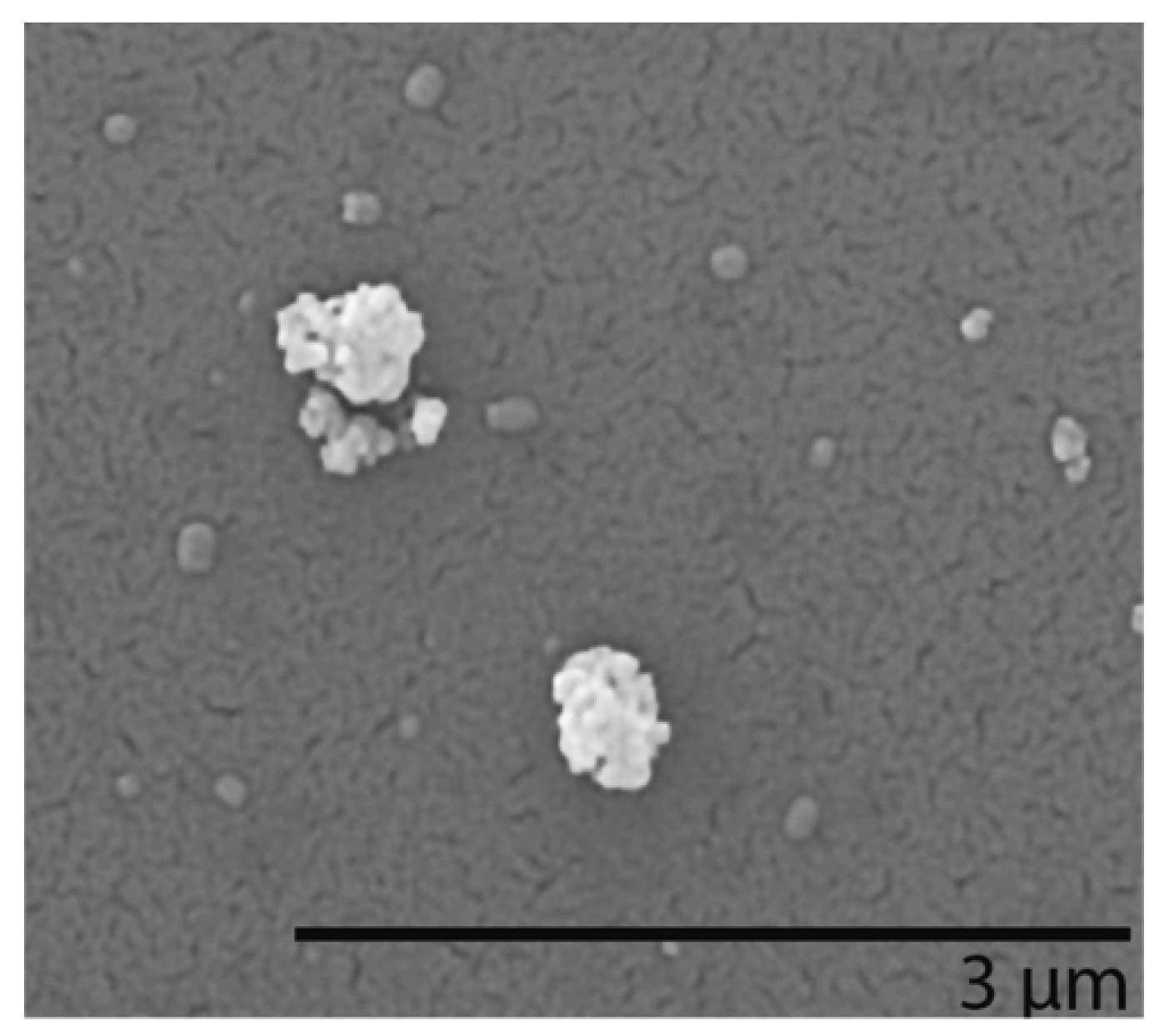 Nanomaterials 10 00618 g002