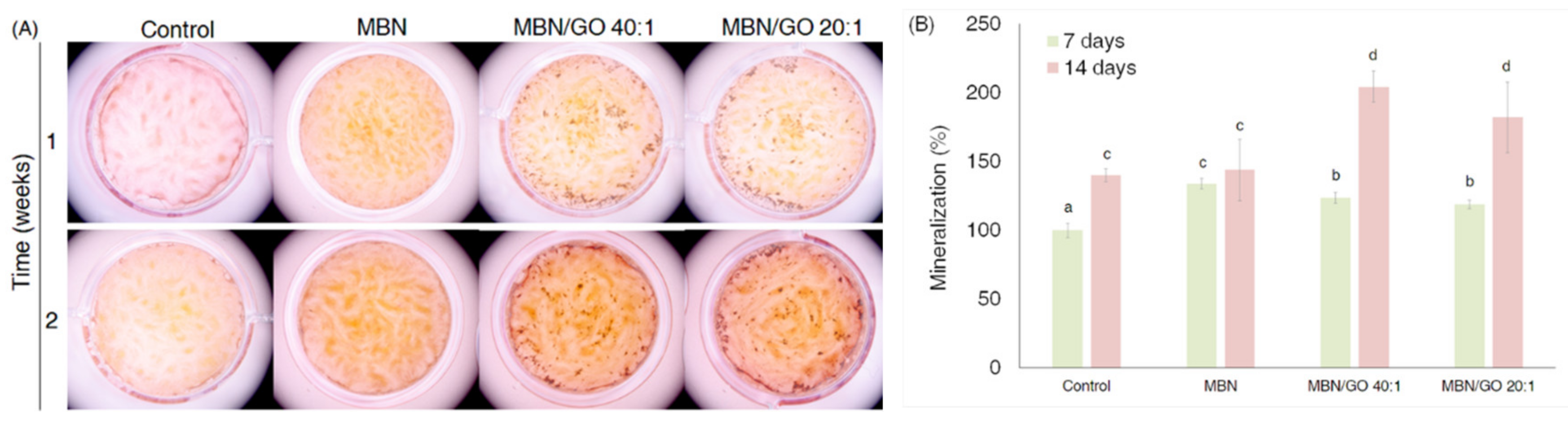 Nanomaterials 10 00620 g009