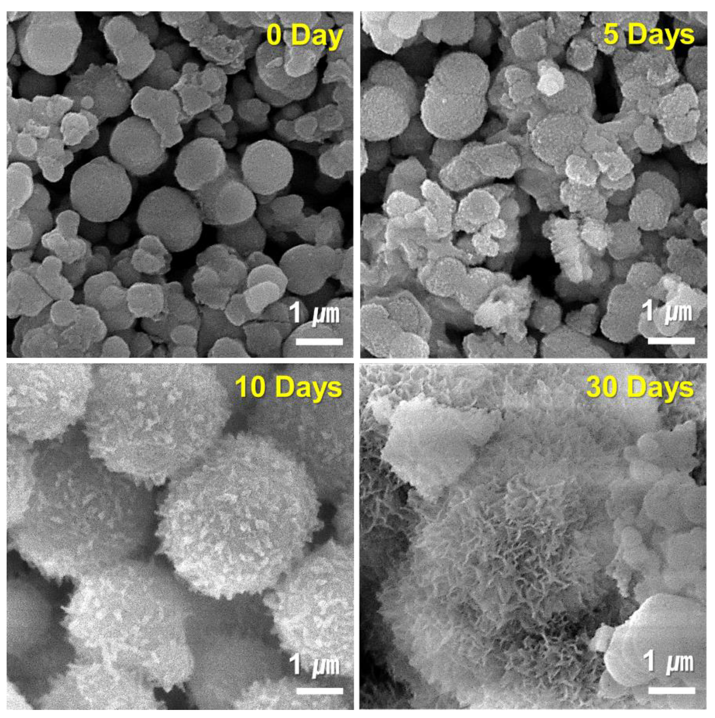 Nanomaterials 10 00621 g010
