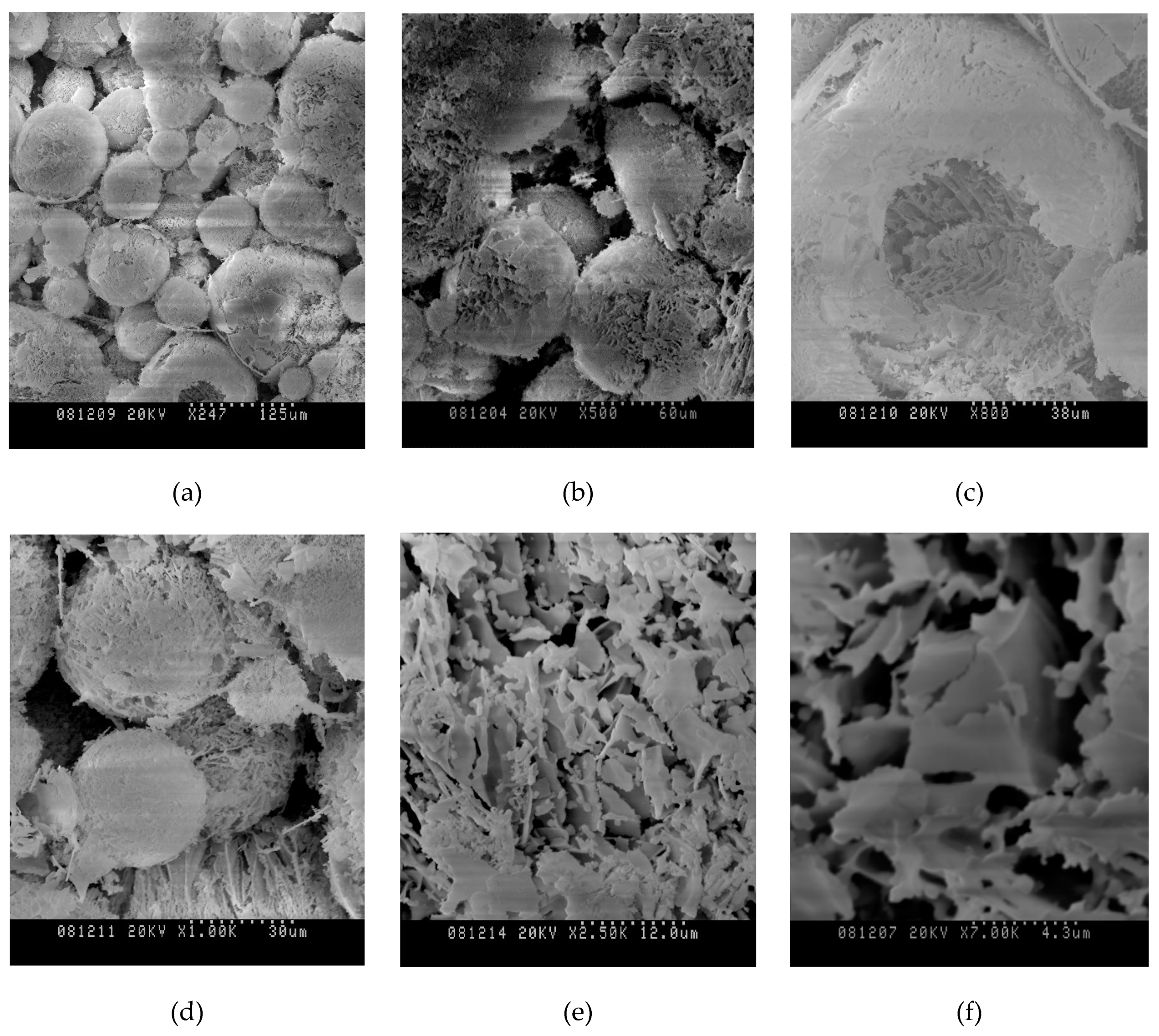 Nanomaterials 10 00624 g006