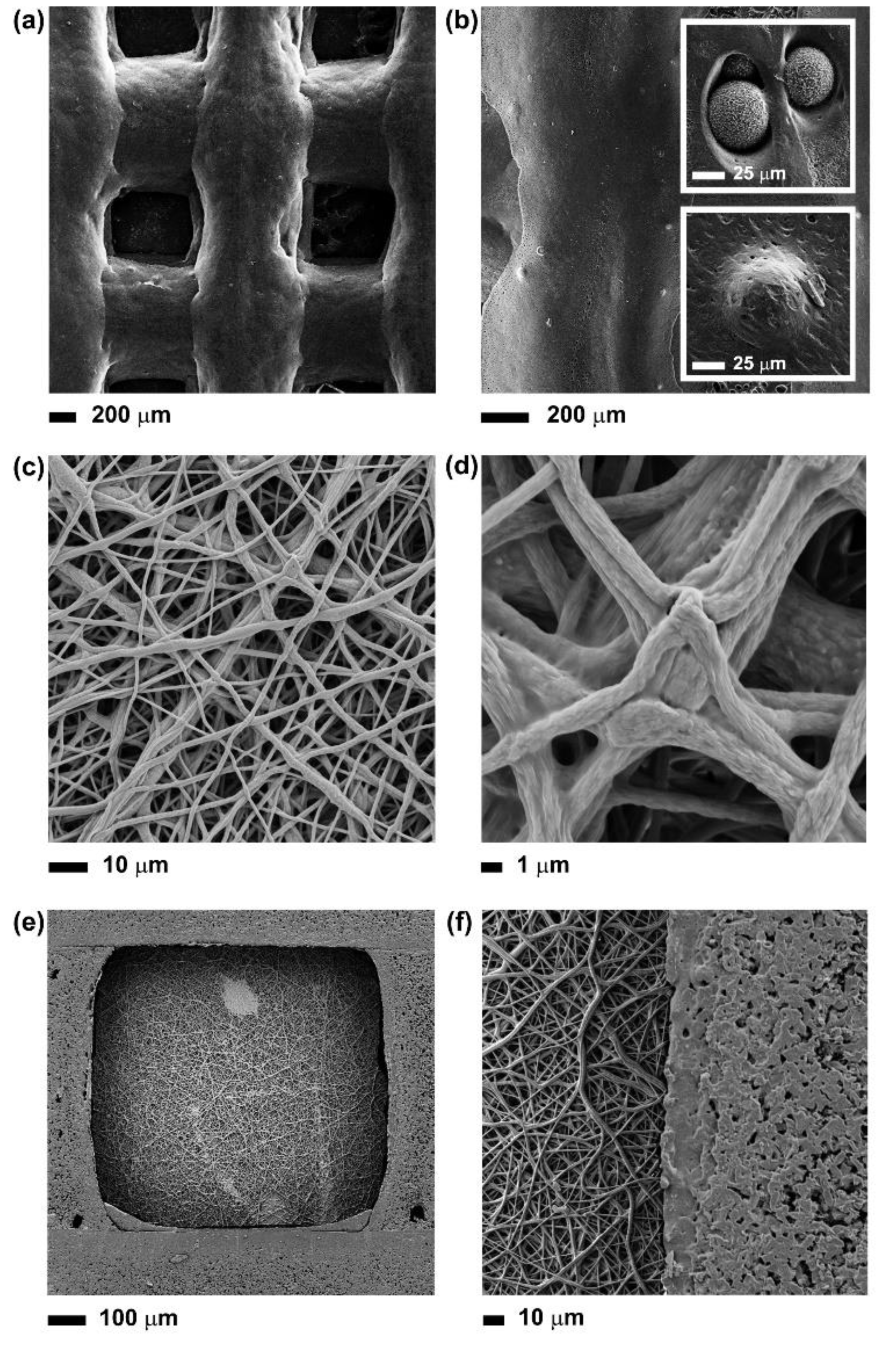 Nanomaterials 10 00626 g002 Nanomaterials 10 00626 g002