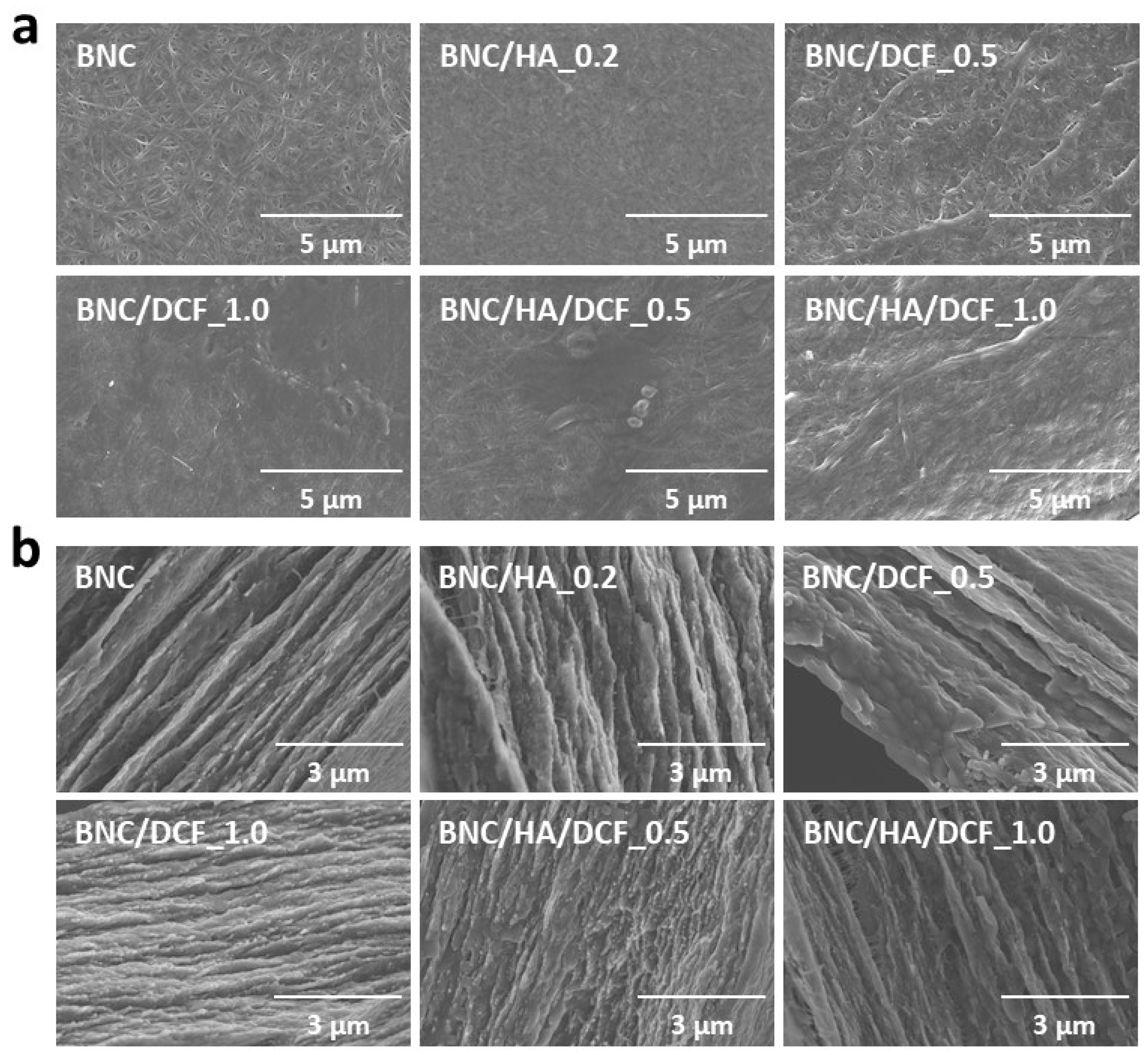 Nanomaterials 10 00628 g003