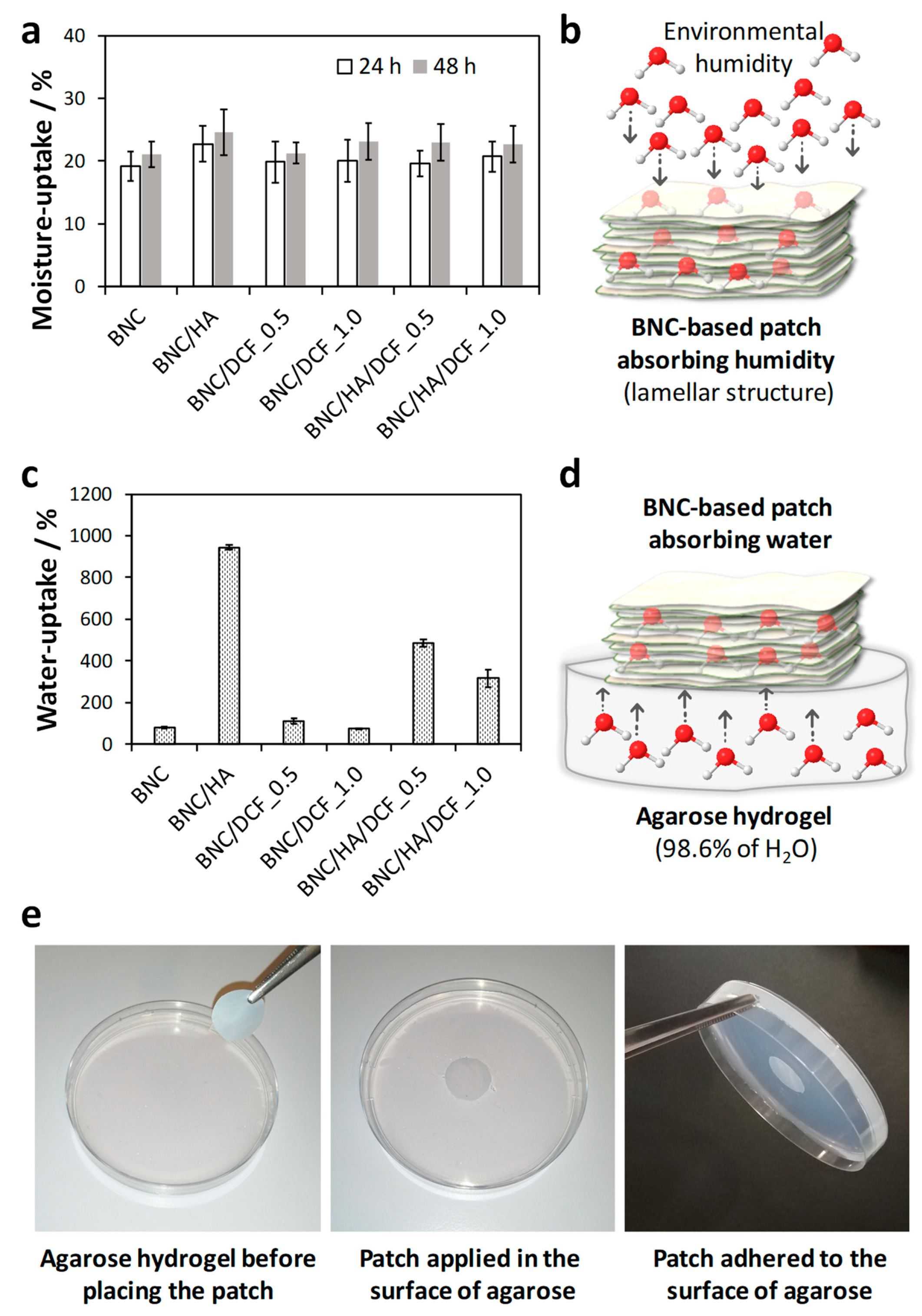 Nanomaterials 10 00628 g006