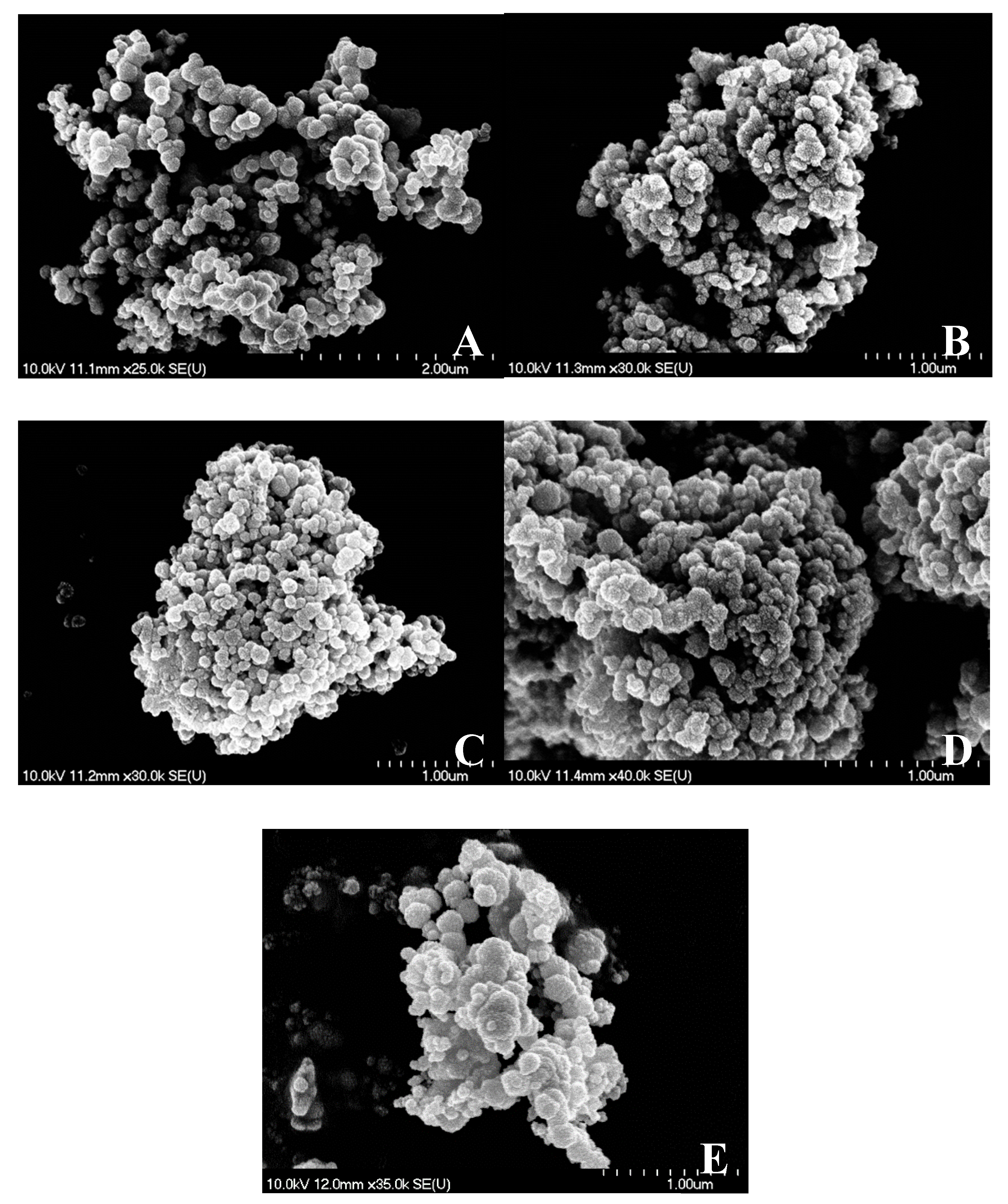 Nanomaterials 10 00632 g005