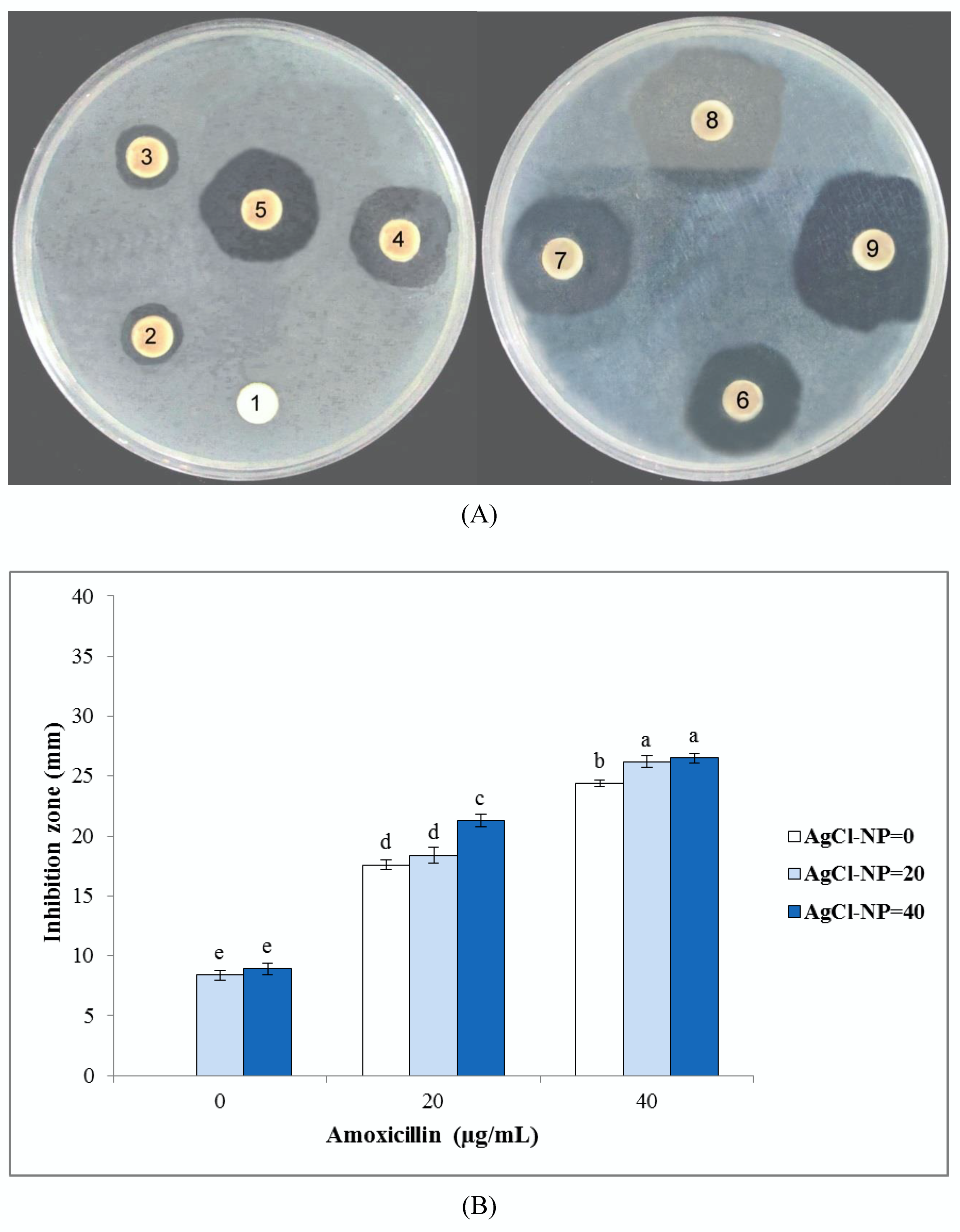 Nanomaterials 10 00638 g004
