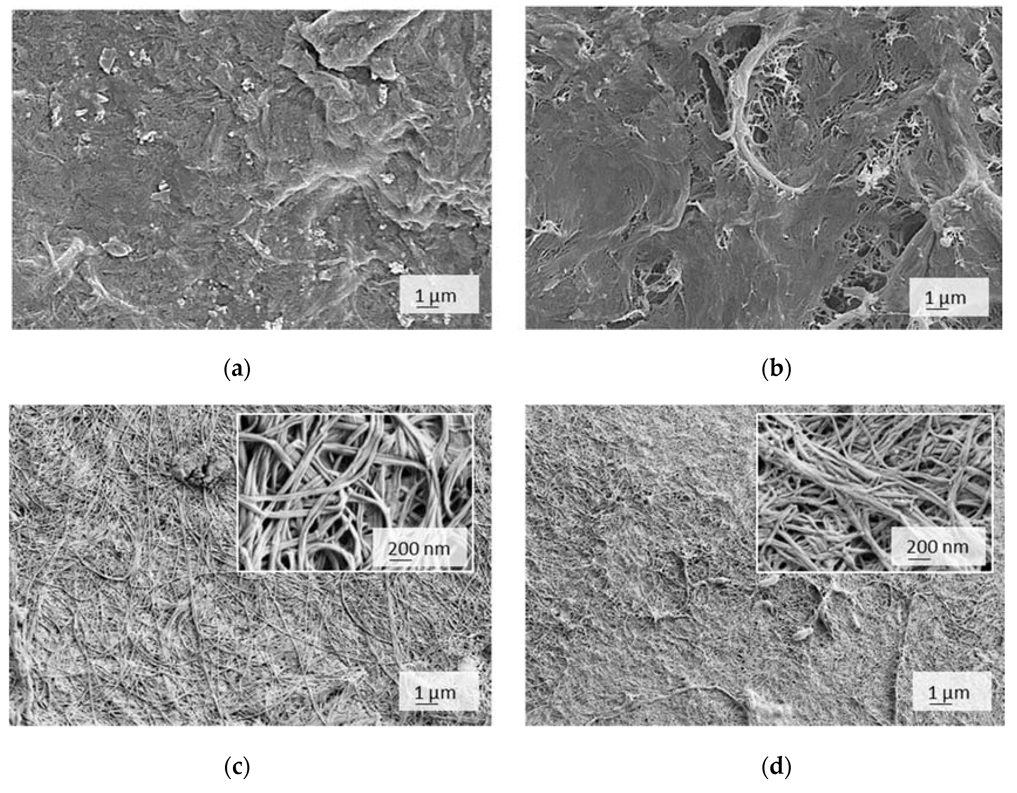 Nanomaterials 10 00642 g006