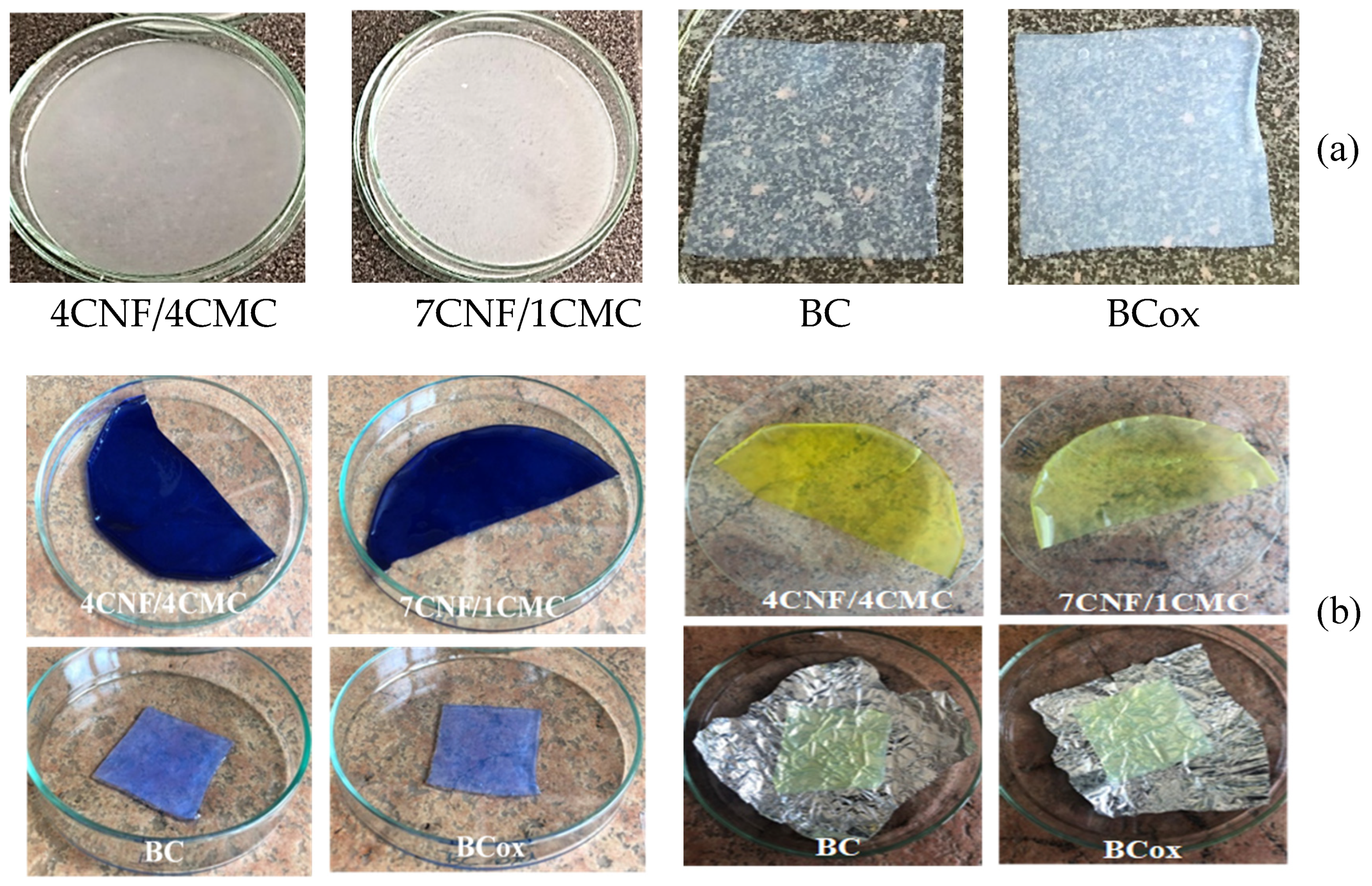 Nanomaterials 10 00642 g007a