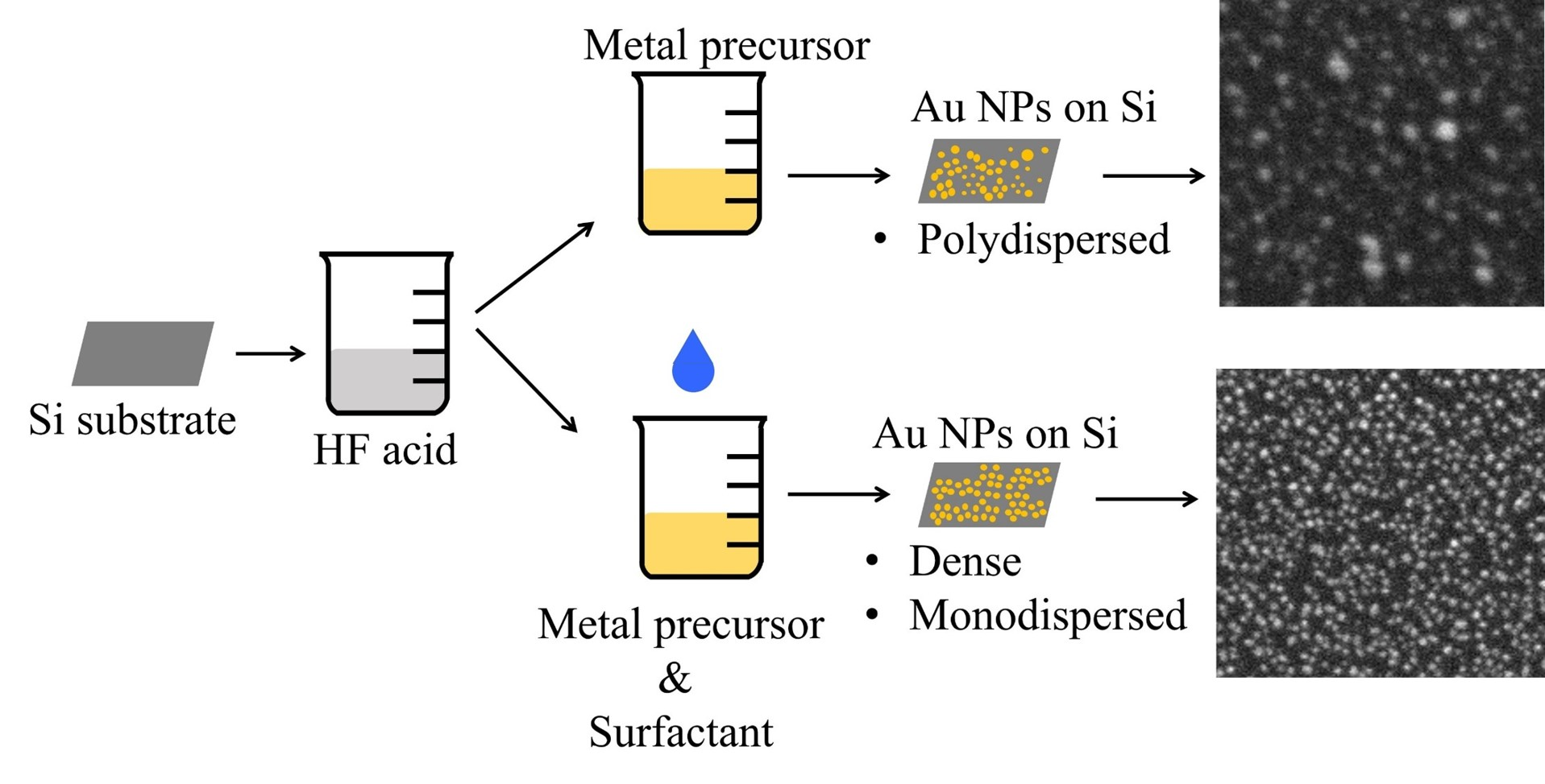 Nanomaterials Free FullText Formation of Size and Density
