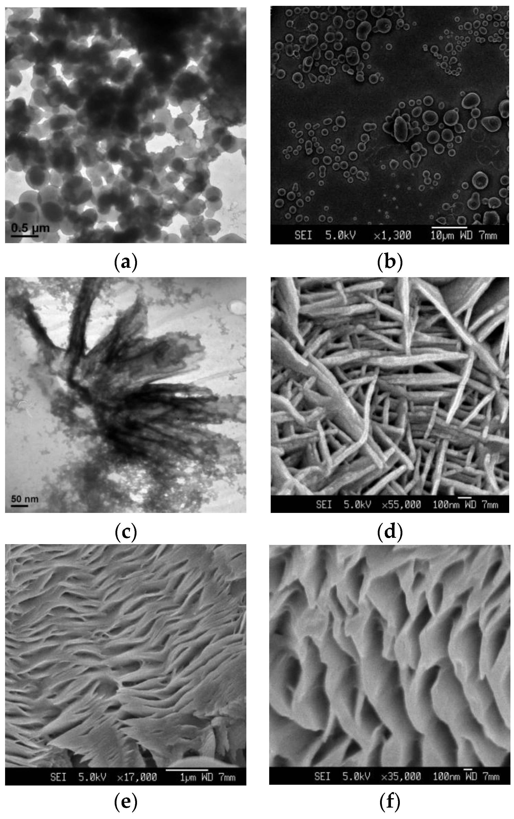 Nanomaterials 10 00651 g004