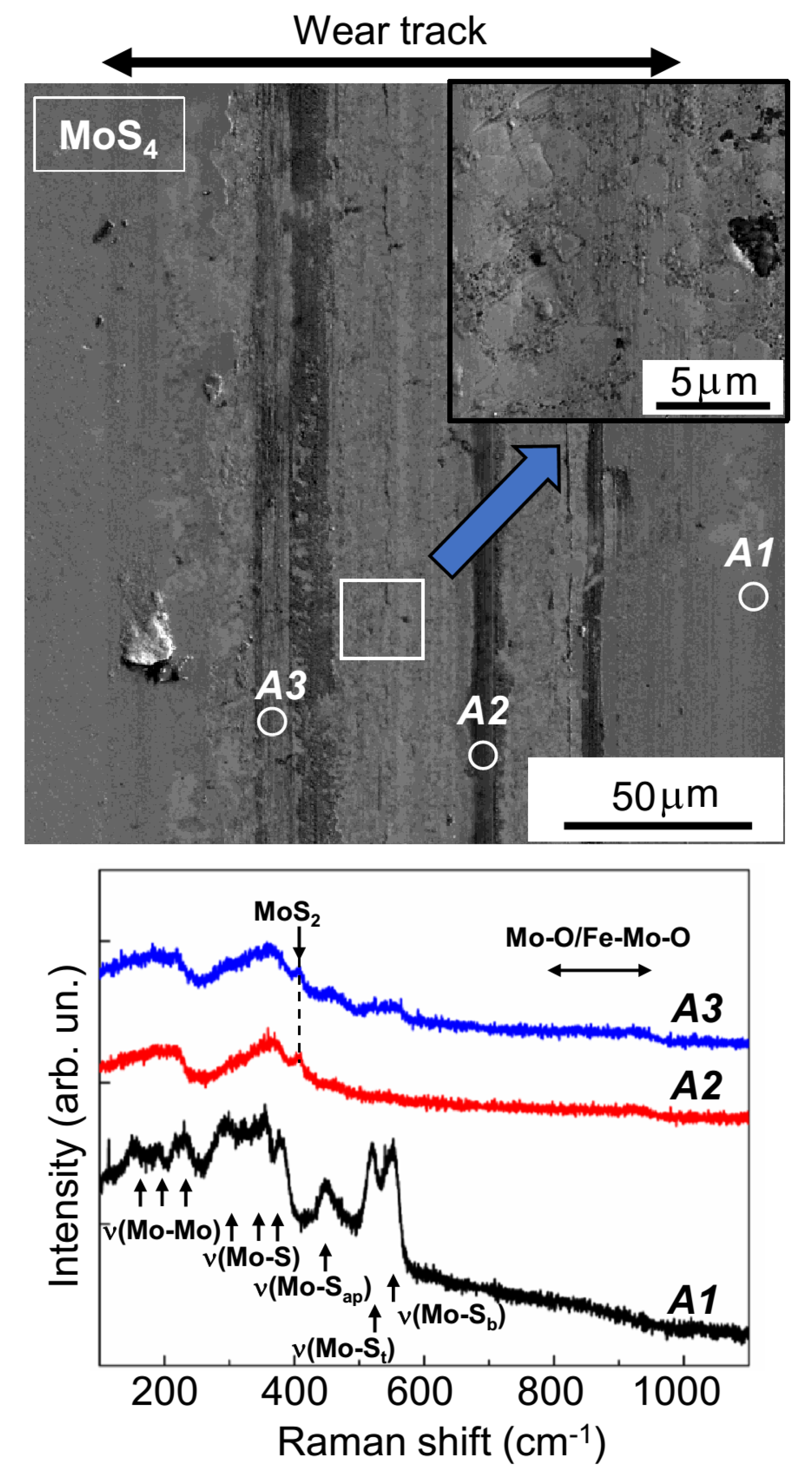 Nanomaterials 10 00653 g010