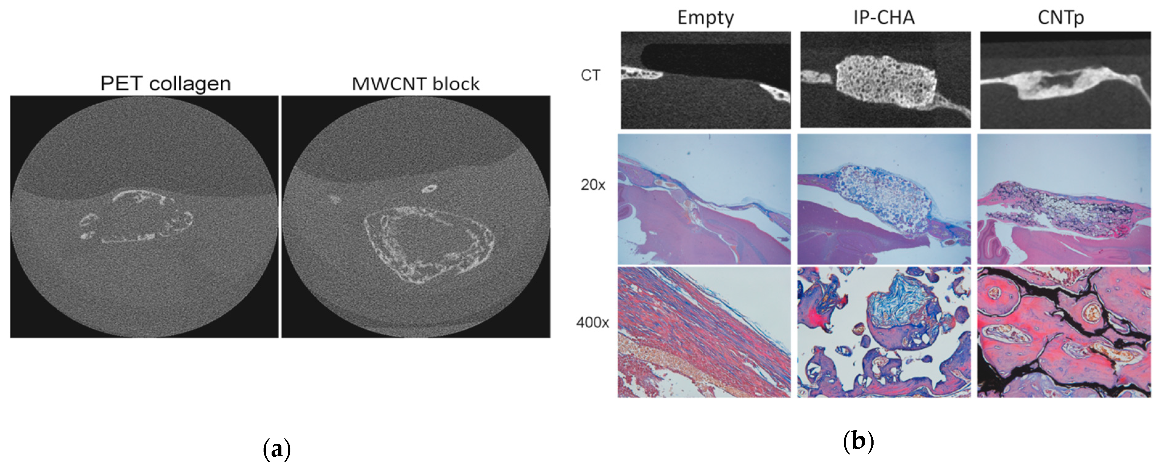 Nanomaterials 10 00659 g005 Nanomaterials 10 00659 g005