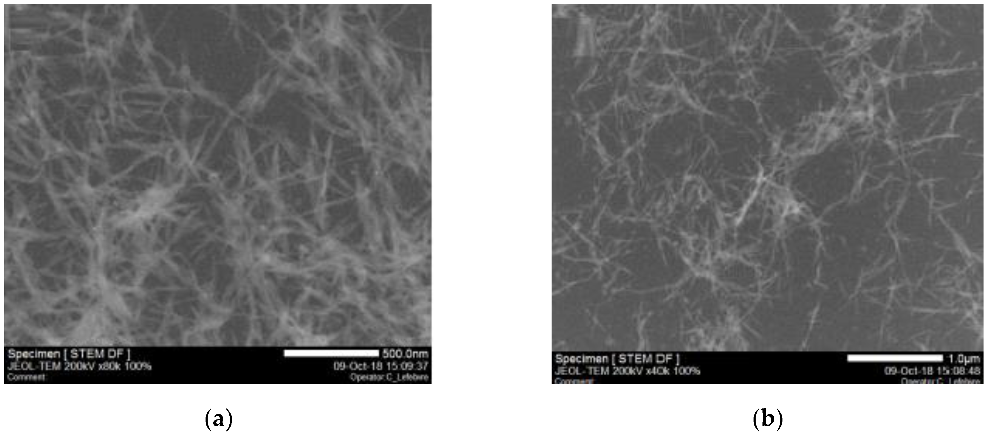 Nanomaterials 10 00660 g003 Nanomaterials 10 00660 g003